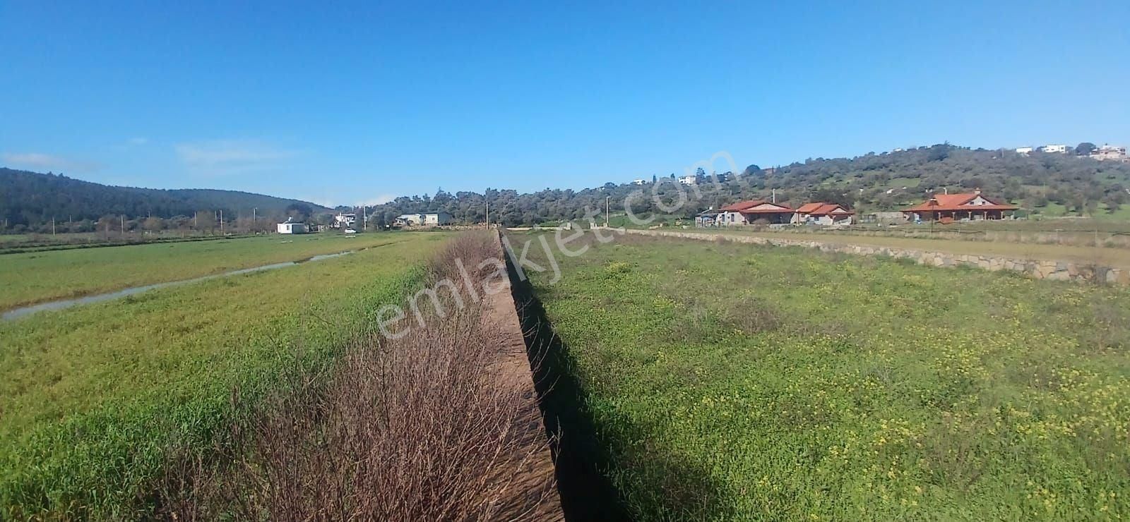 Milas Meşelik’te Çiftlik Evi Kurma İmkânı Sunan 4338 M2 Yatırım Arazisi - Görsel 6