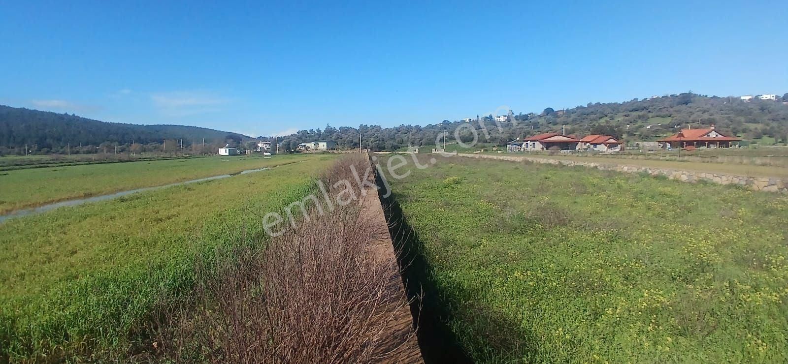 Milas Meşelik’te Çiftlik Evi Kurma İmkânı Sunan 4338 M2 Yatırım Arazisi - Görsel 3