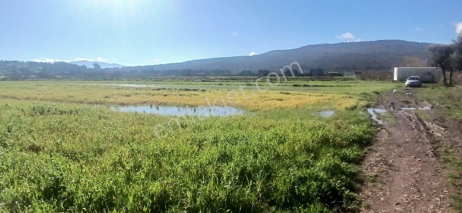 Milas Meşelik’te Çiftlik Evi Kurma İmkânı Sunan 4338 M2 Yatırım Arazisi - Görsel 22