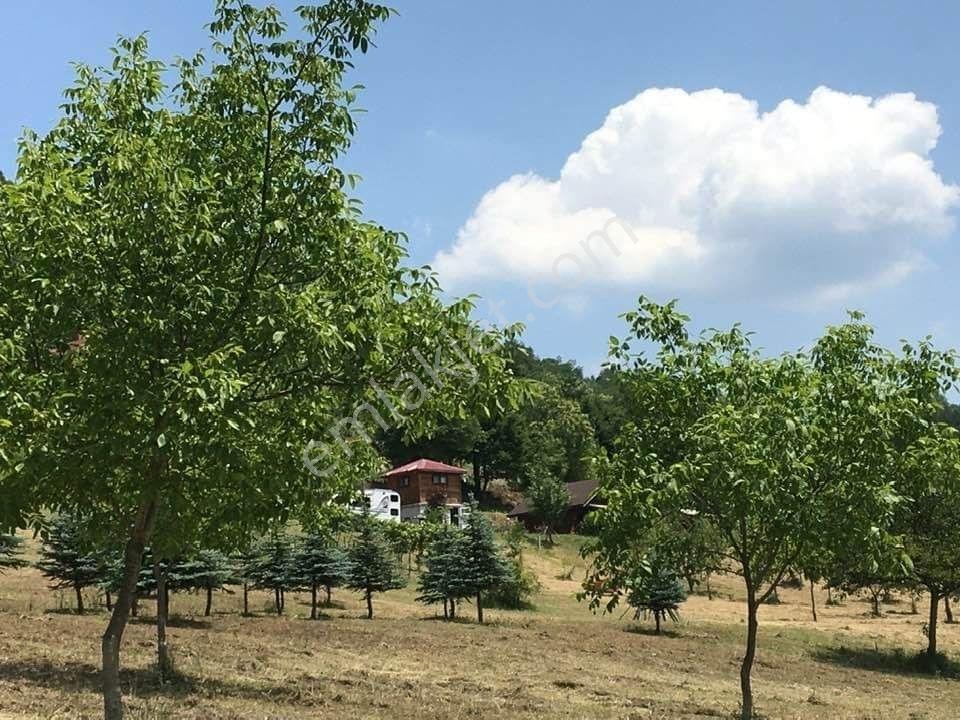 Satılık Arazi - Görsel 5