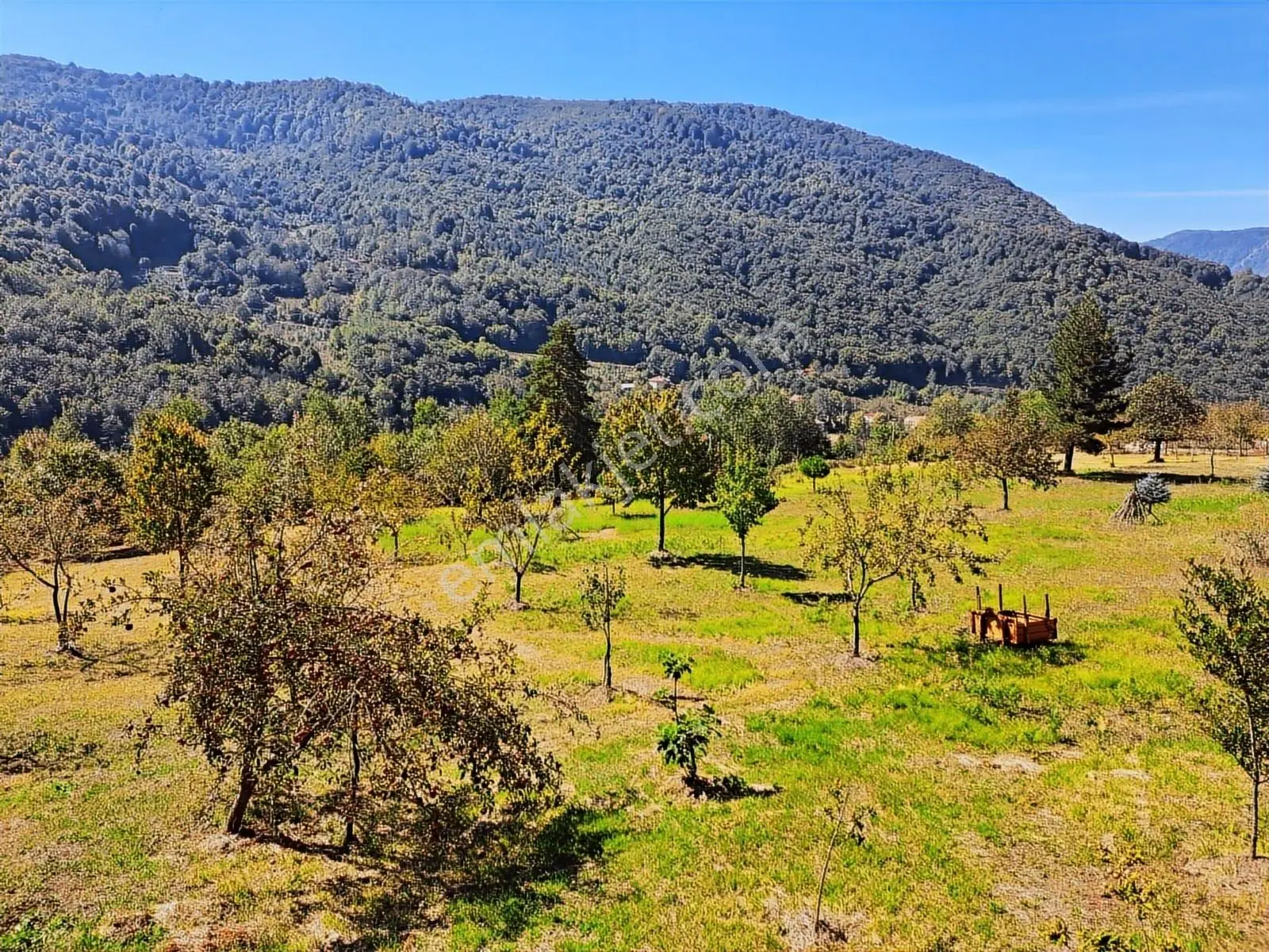 Satılık Arazi - Görsel 11