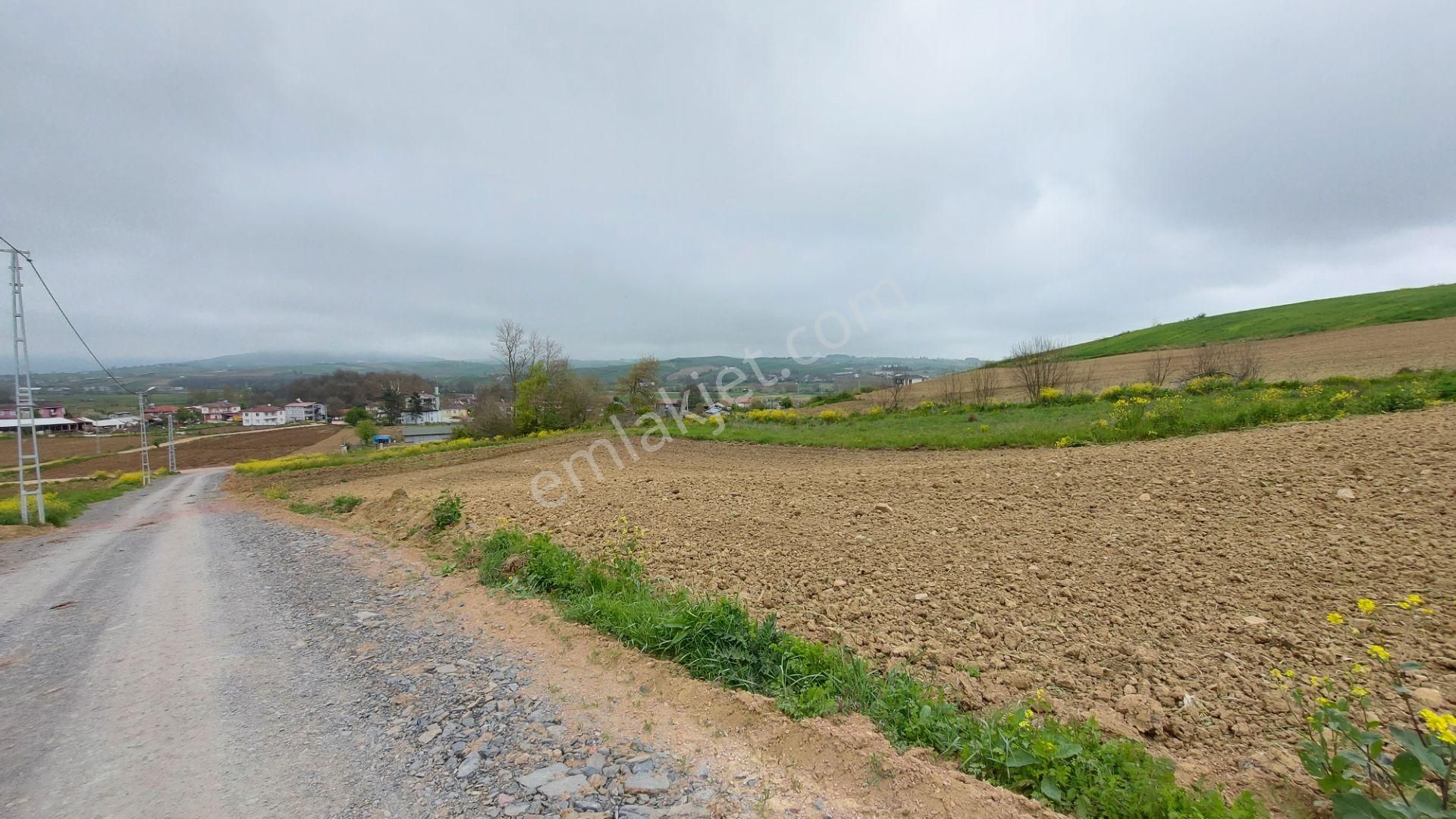 Körfez Himmetli Yol Cephe Köyeyakın Satılık 6437m2 Değerli Arazi - Görsel 21