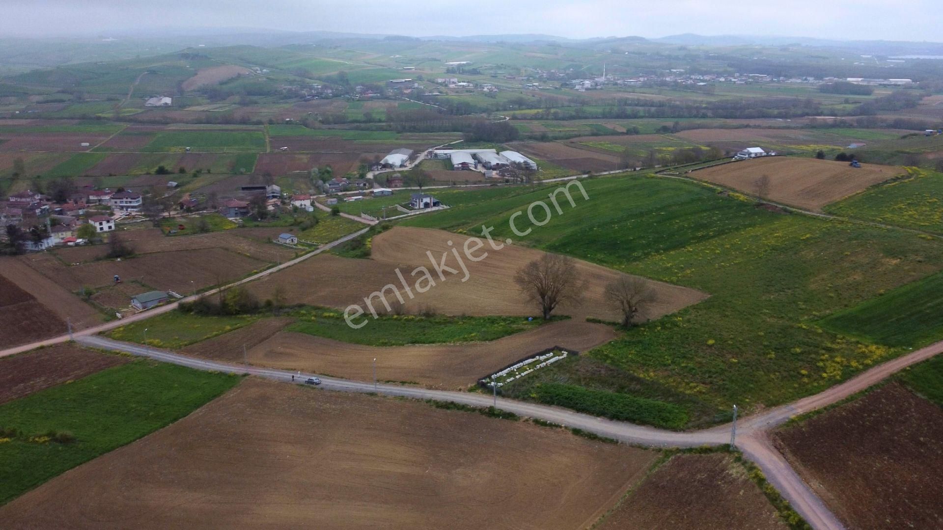 Körfez Himmetli Yol Cephe Köyeyakın Satılık 6437m2 Değerli Arazi - Görsel 9