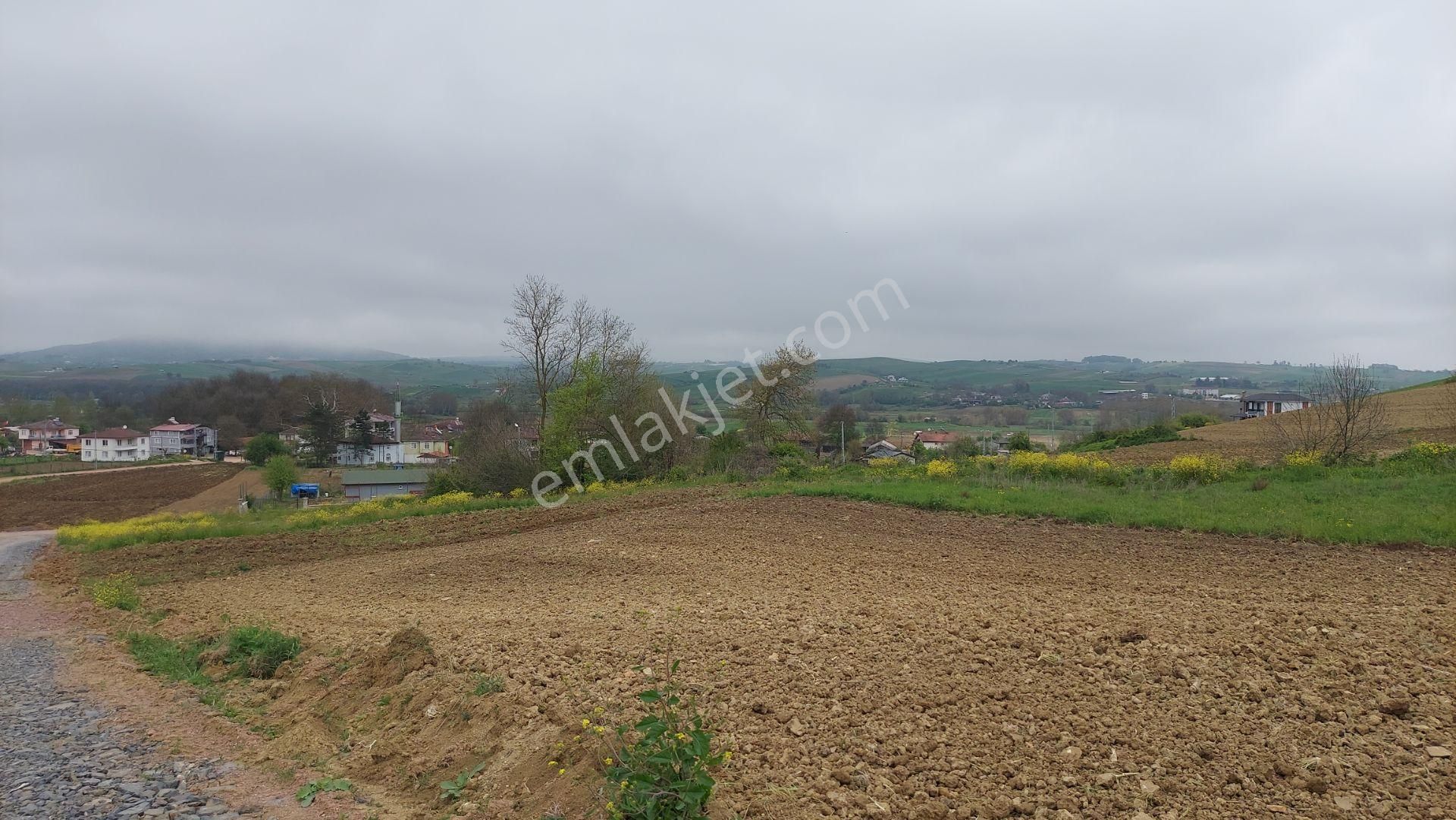 Körfez Himmetli Yol Cephe Köyeyakın Satılık 6437m2 Değerli Arazi - Görsel 3