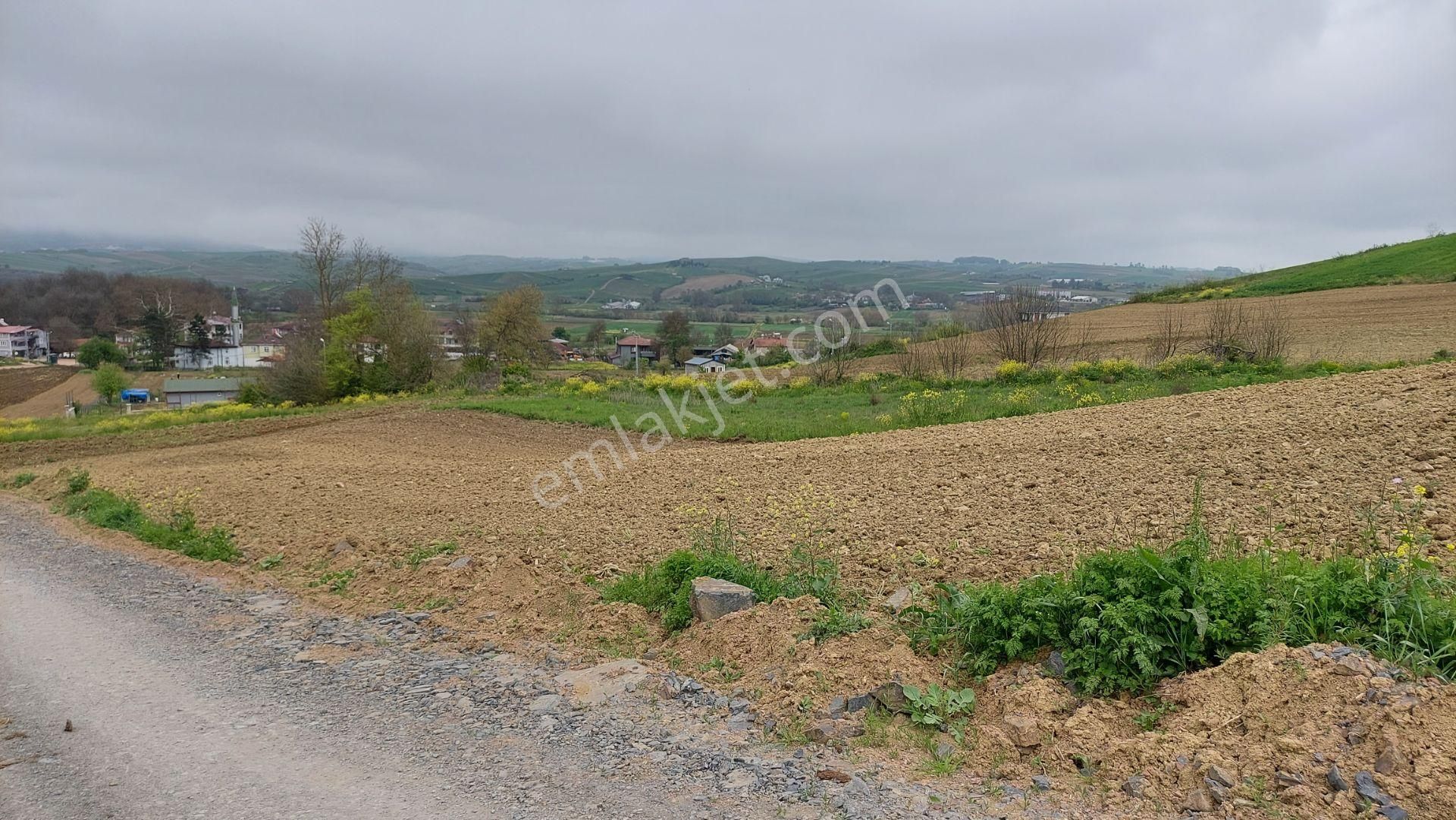Körfez Himmetli Yol Cephe Köyeyakın Satılık 6437m2 Değerli Arazi - Görsel 4