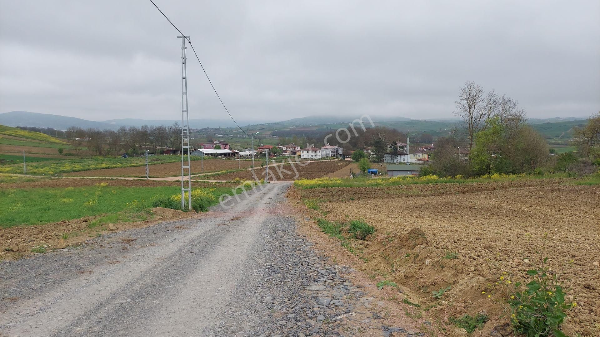 Körfez Himmetli Yol Cephe Köyeyakın Satılık 6437m2 Değerli Arazi - Görsel 2