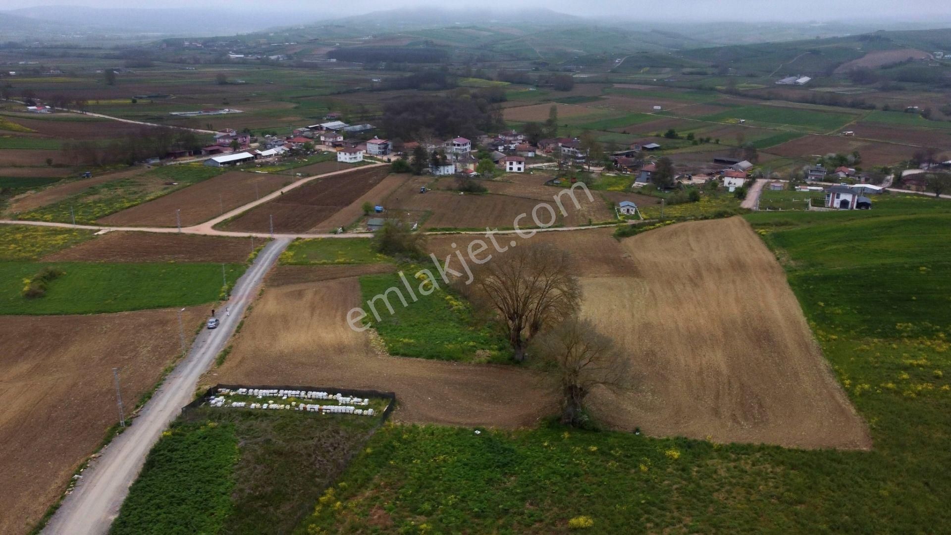 Körfez Himmetli Yol Cephe Köyeyakın Satılık 6437m2 Değerli Arazi - Görsel 6
