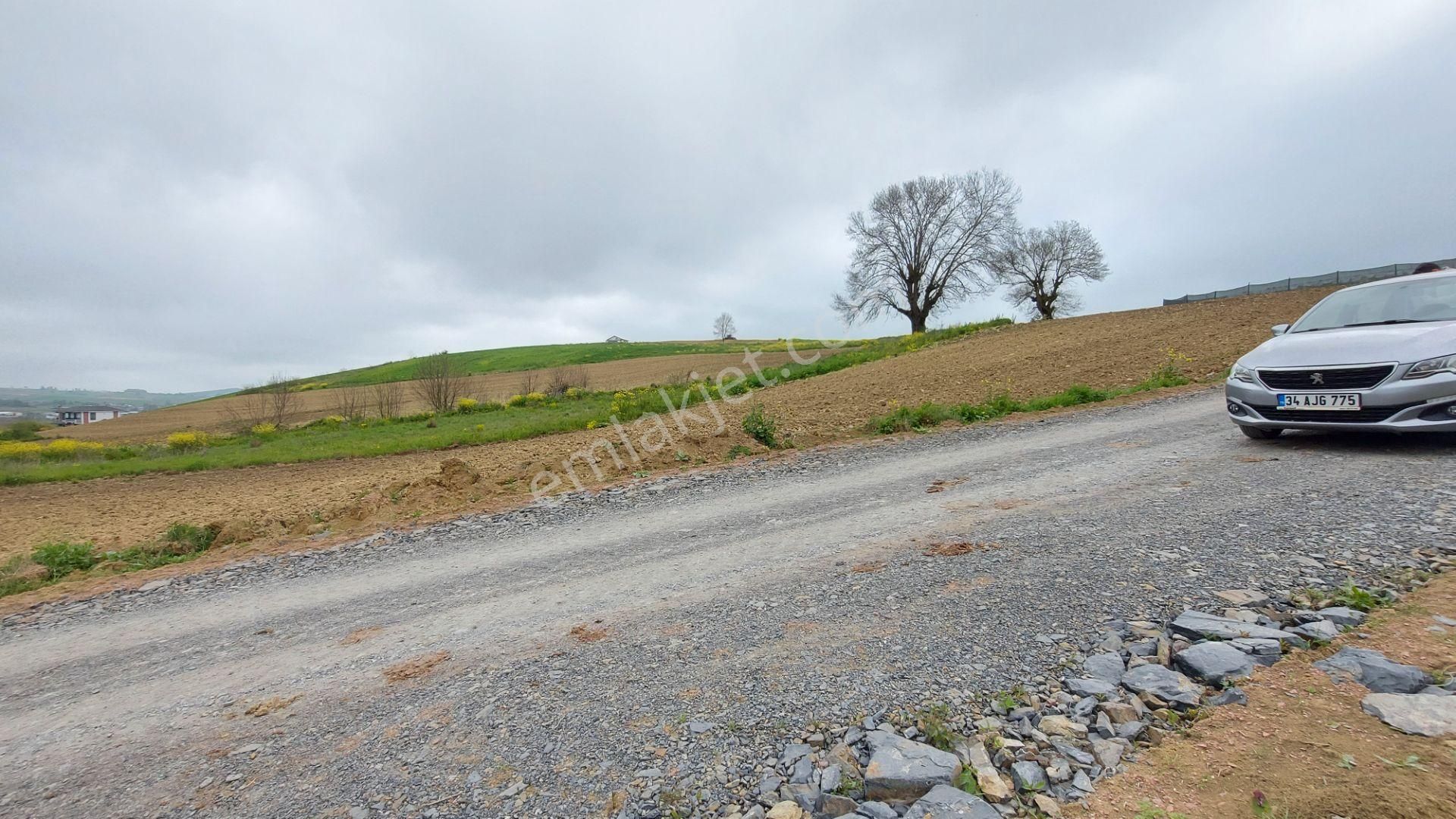 Körfez Himmetli Yol Cephe Köyeyakın Satılık 6437m2 Değerli Arazi - Görsel 13