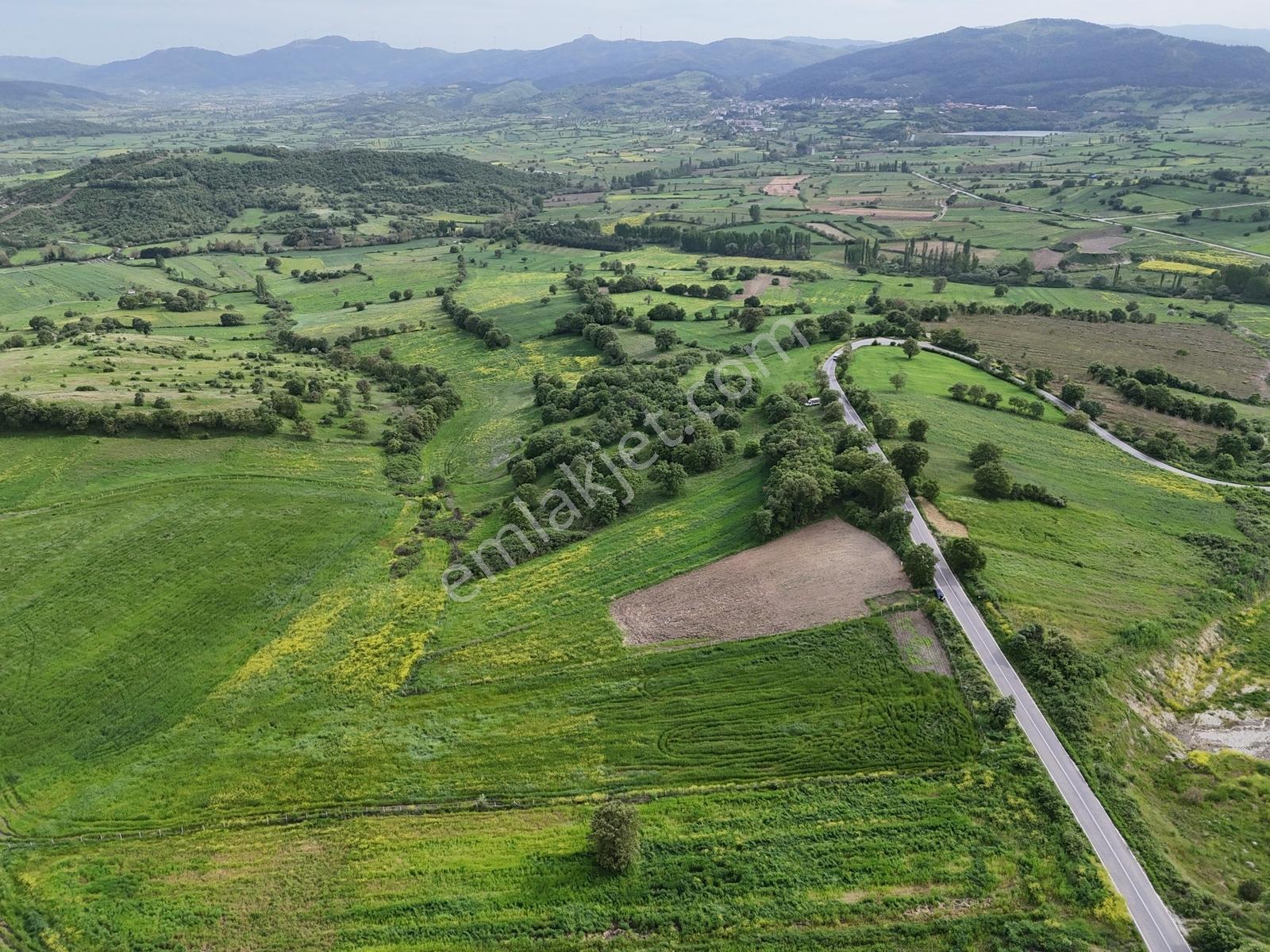 İvrindi - Bergama Asfaltına Cepheli Müstakil Tapulu Tarla - Görsel 17