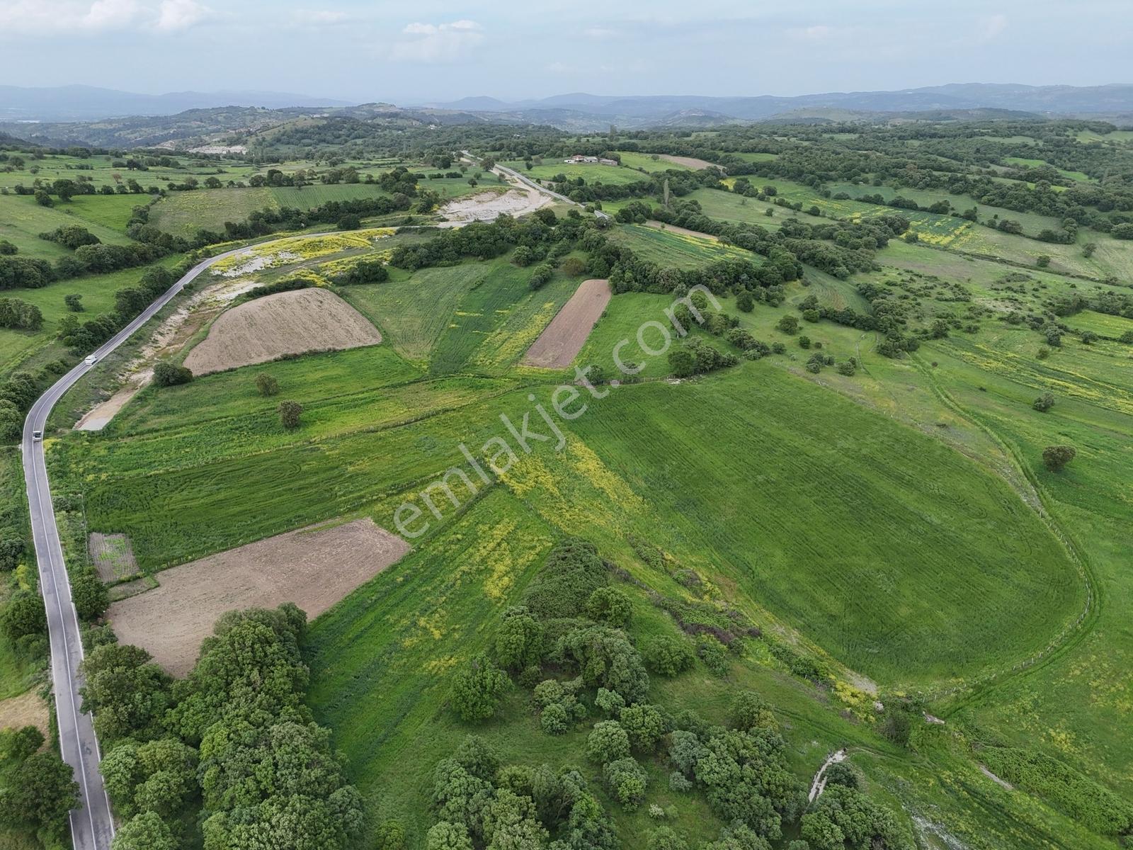 İvrindi - Bergama Asfaltına Cepheli Müstakil Tapulu Tarla - Görsel 10