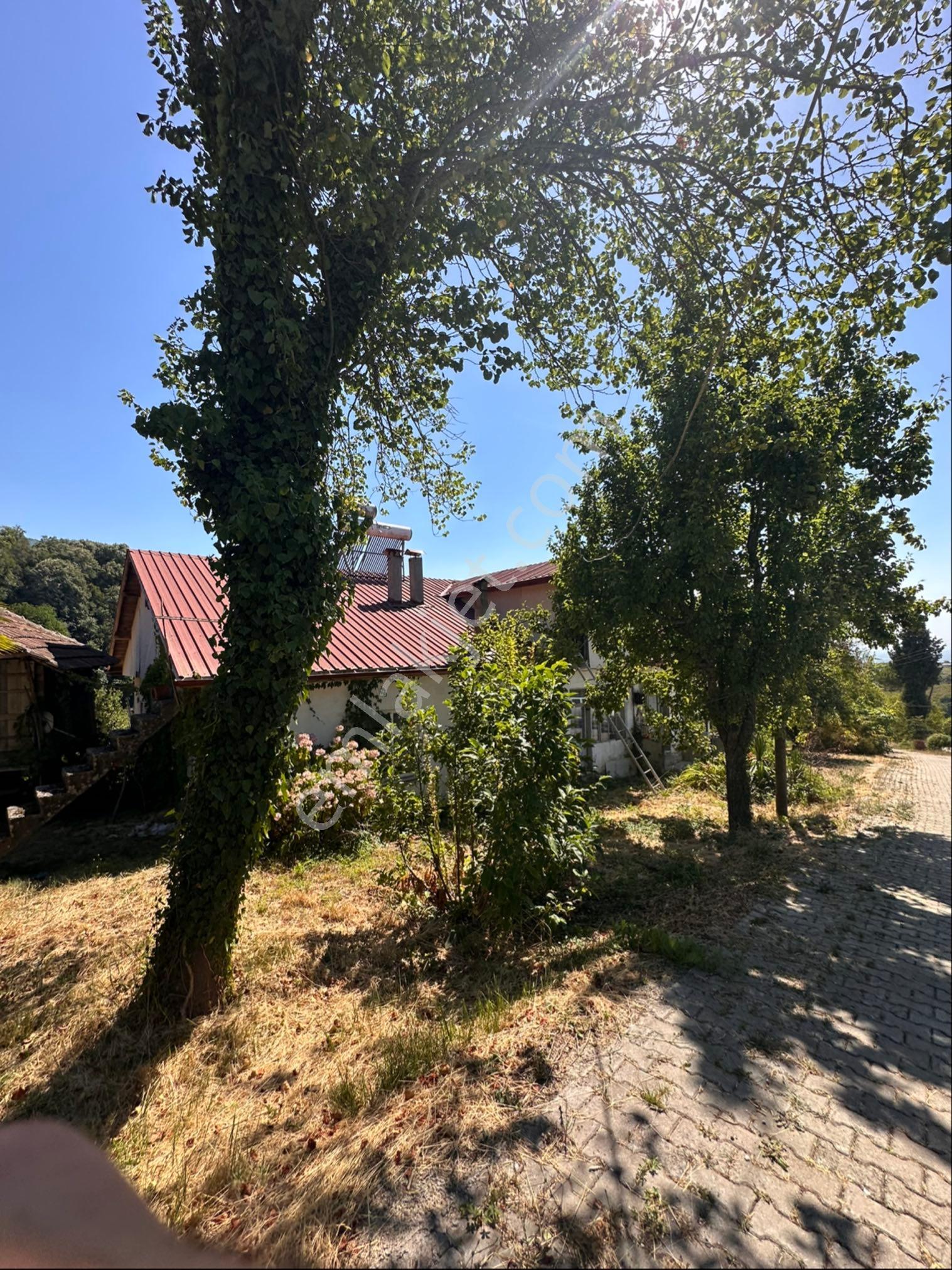Sahibinden 1242 M2 İmarlı Arsa İçerisinde Ev Sakarya Hendek - Görsel 14