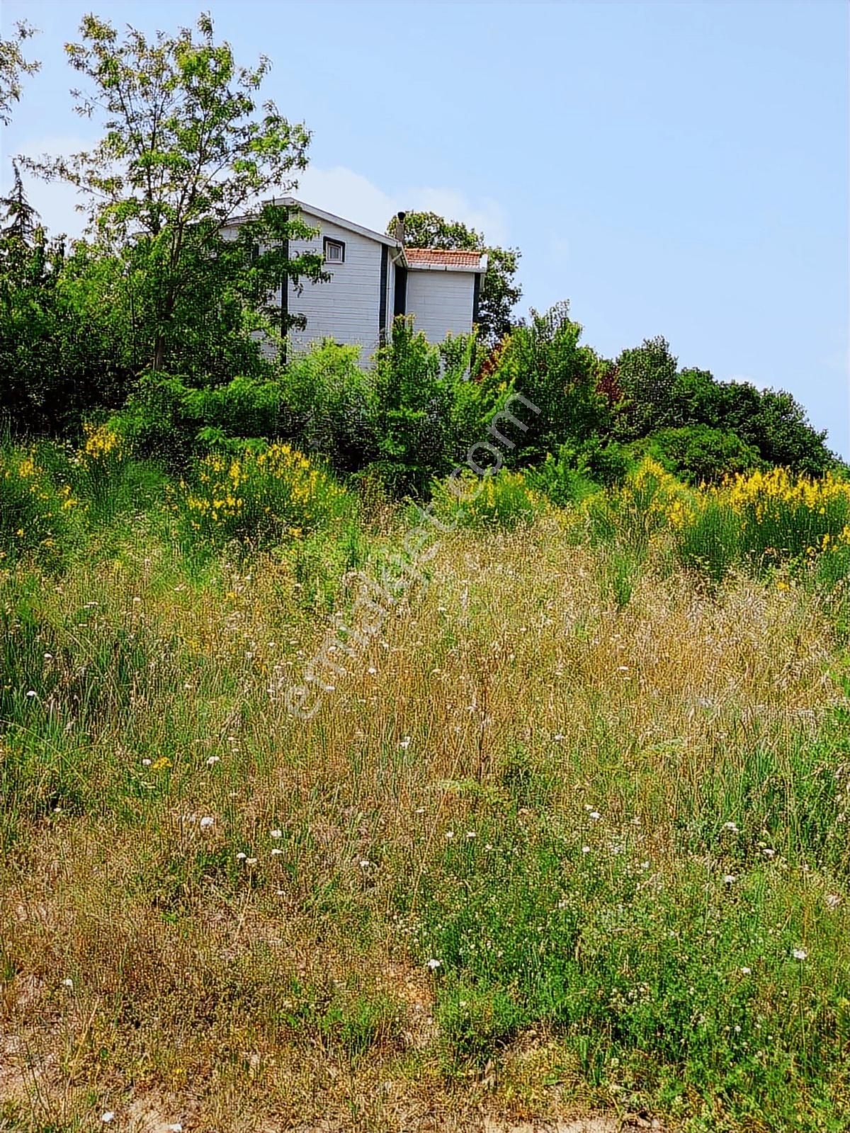Remax Anka'dan Kabakozda 550m2 Turizm+konut İmarlı Satılık Arsa - Görsel 8