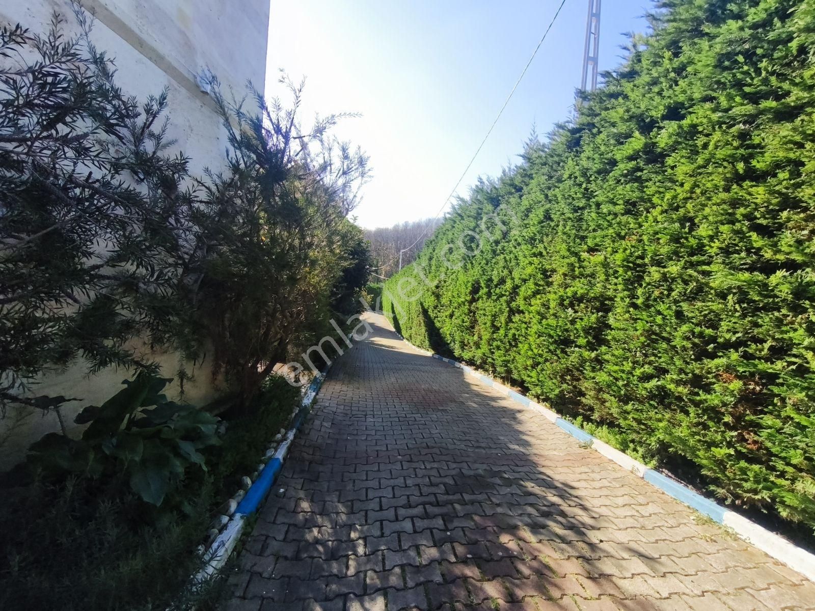 Şile'de 415m2 Arsa Paylı Doğal Taş Yapımı Otantik Satılık Villa - Görsel 19