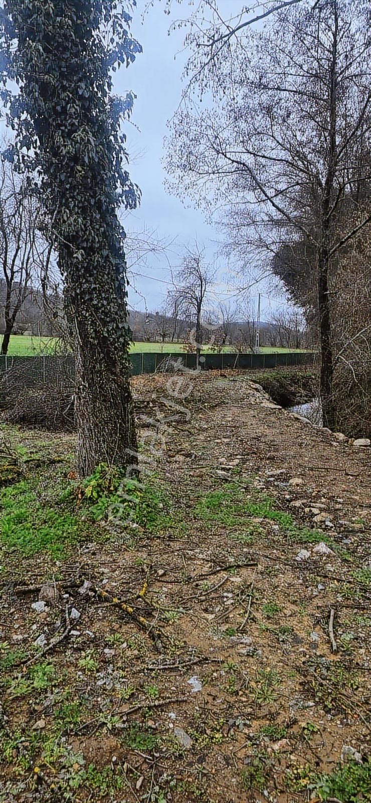 Re/max Anka'dan Komple Dere Su Ve Yola Cepheli Fırsat Arazi - Görsel 27