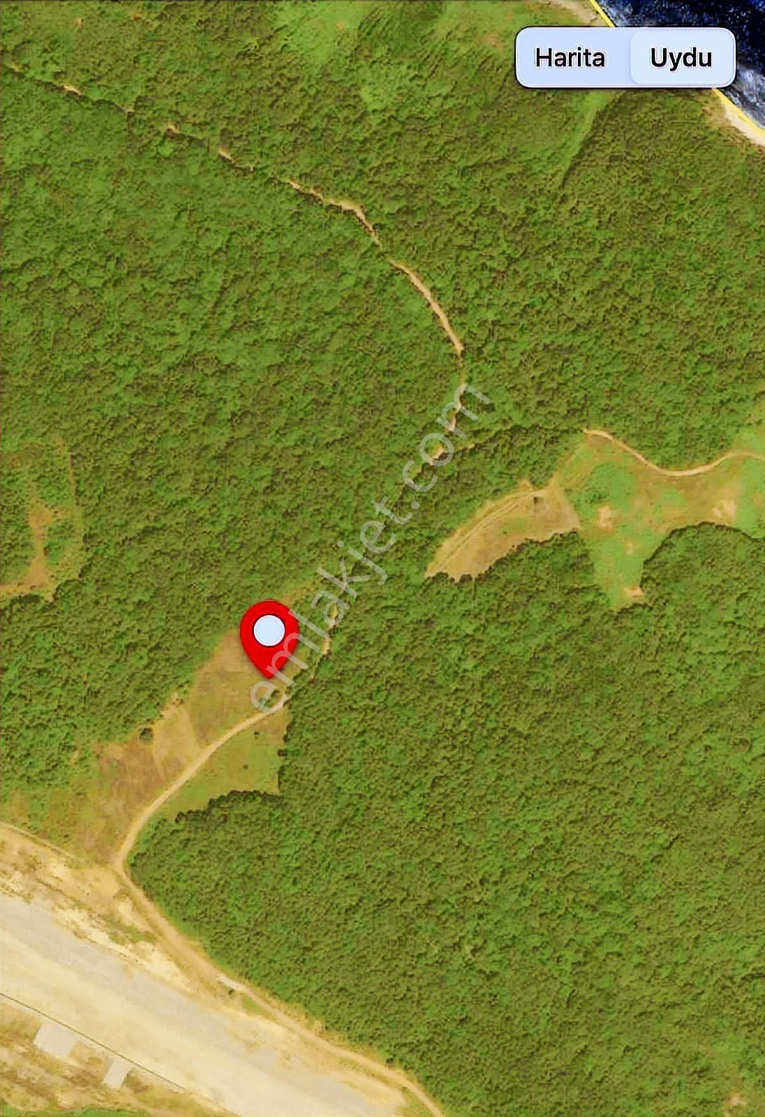 Şile Remaxanka Güvencesiyle Ağva'da Denize Nazır Fırsat Arazi - Görsel 3