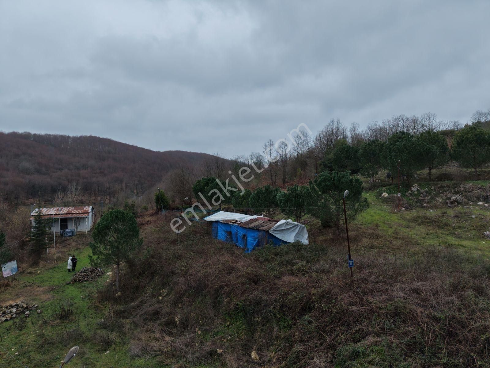 Villalara Komşu İçinde Yapı Olan Bahçeli Yasam - Görsel 2