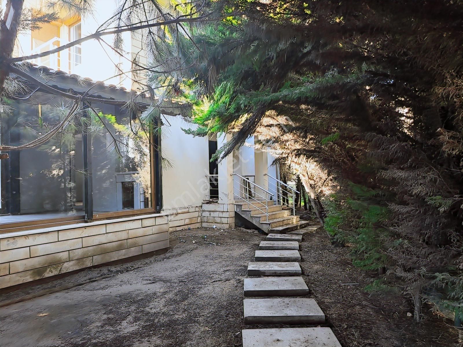 Şilede 300m2 Arsa İçerisinde Müstakil Bahçeli Satılık 3+1villa - Görsel 3