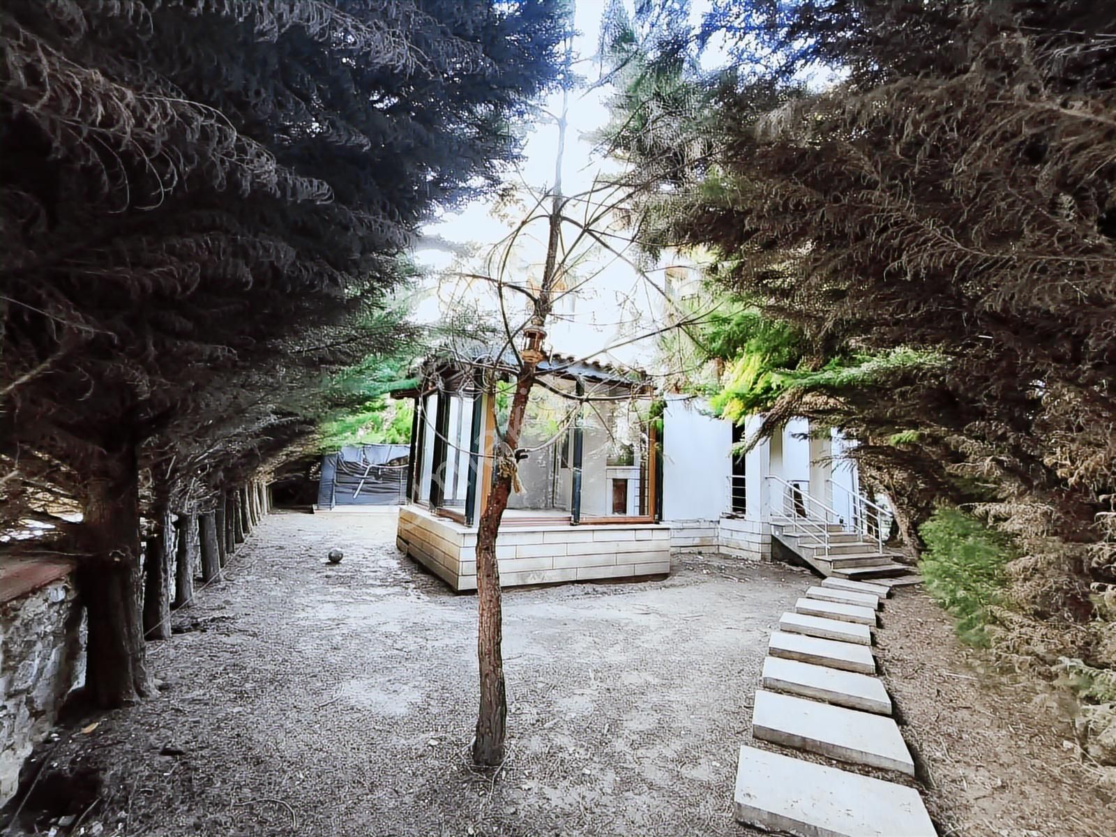 Şilede 300m2 Arsa İçerisinde Müstakil Bahçeli Satılık 3+1villa - Görsel 4