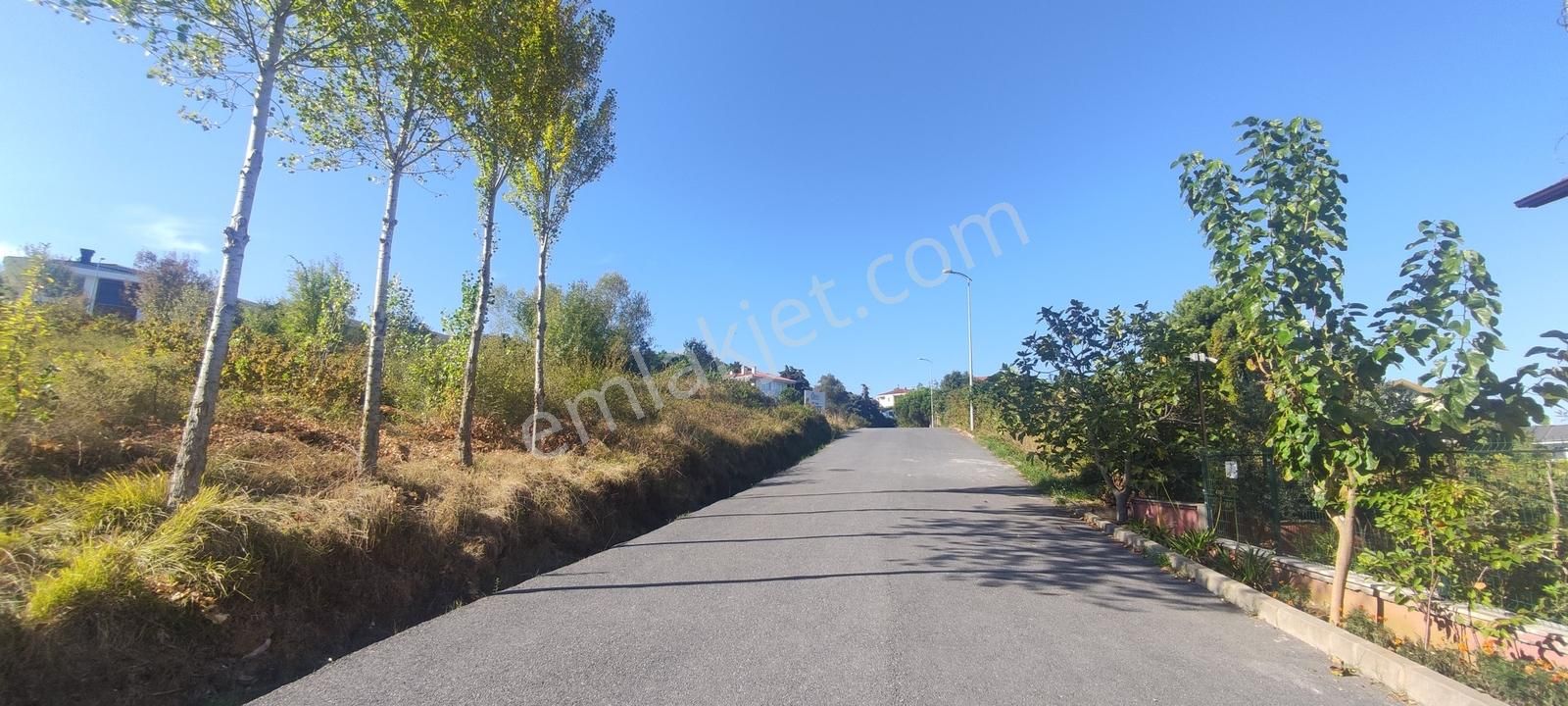 Şilede Emniyete Ve Yeni Belediye'ye Yakın 2+1 Kiralık Daire - Görsel 2