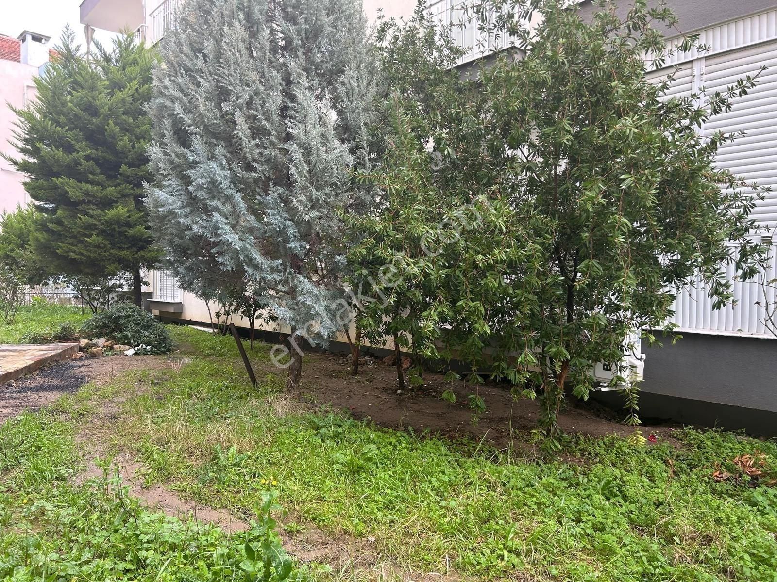 Ayvalık Sarımsaklı'da 1+1 Kiralık Daire - Görsel 5