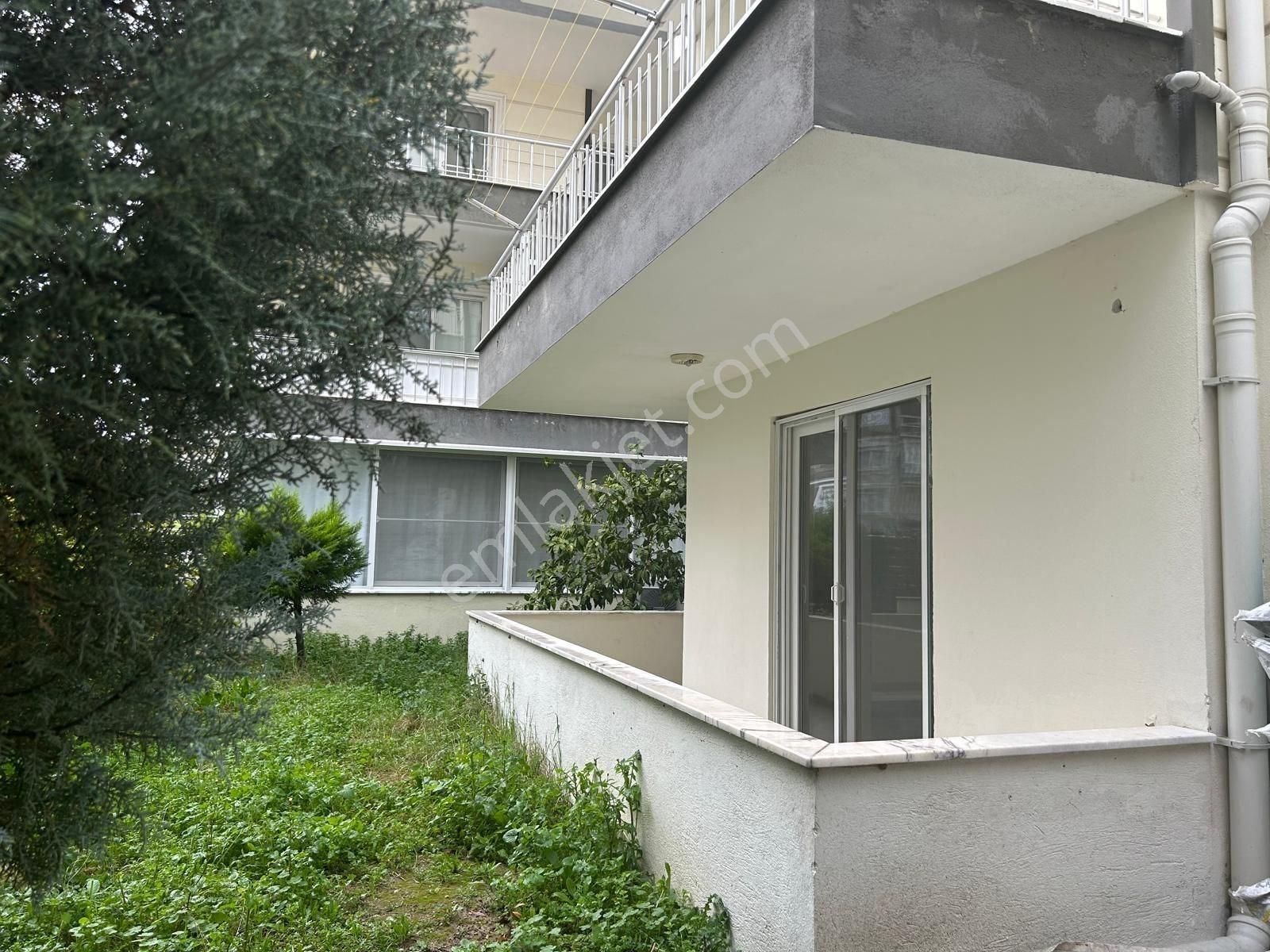 Ayvalık Sarımsaklı'da 1+1 Kiralık Daire - Görsel 7