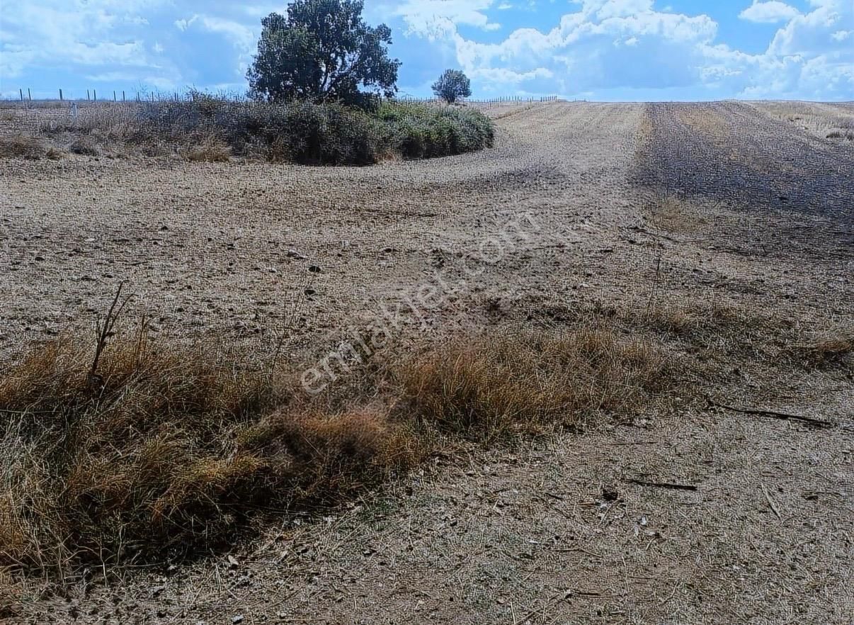 Silivri Değirmenköy'de 2.525 M2 Tek Tapu Yatırımlık Arsa - Görsel 3