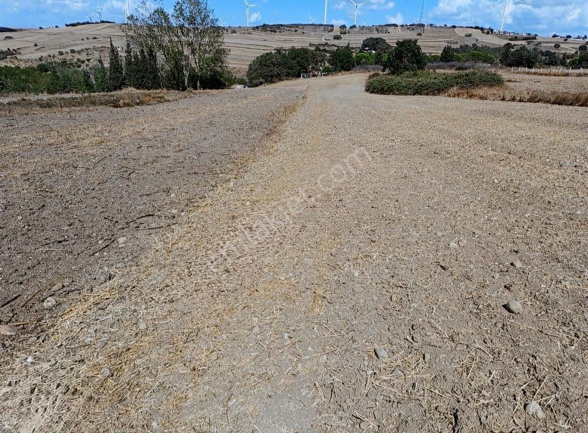 Silivri Değirmenköy'de 2.525 M2 Tek Tapu Yatırımlık Arsa