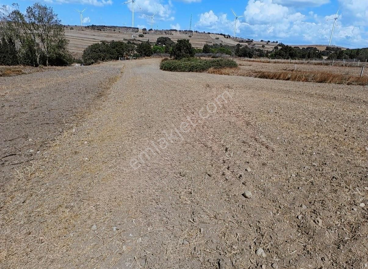 Silivri Değirmenköy'de 2.525 M2 Tek Tapu Yatırımlık Arsa - Görsel 2