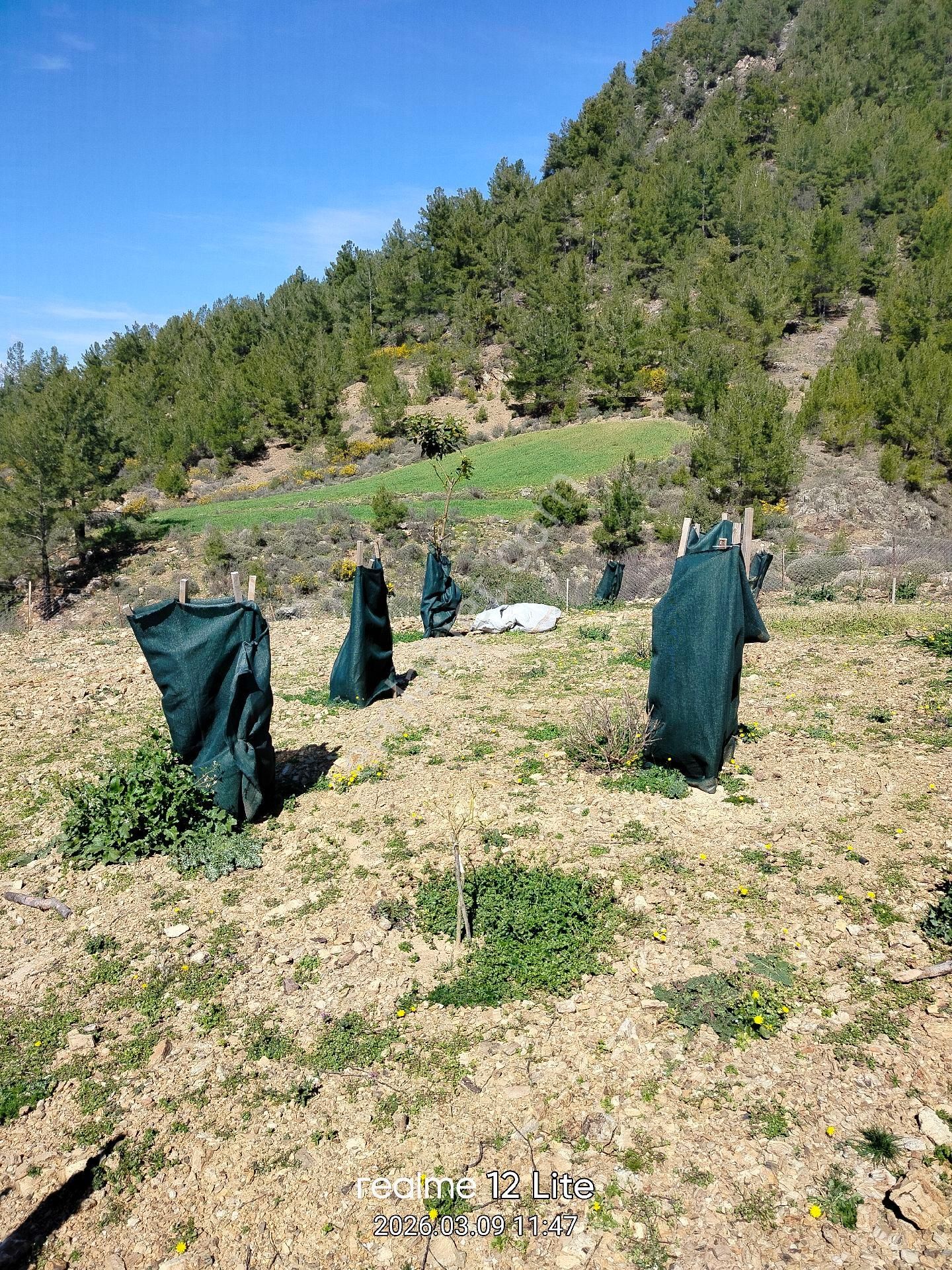 Müstakil Tapulu - Görsel 18