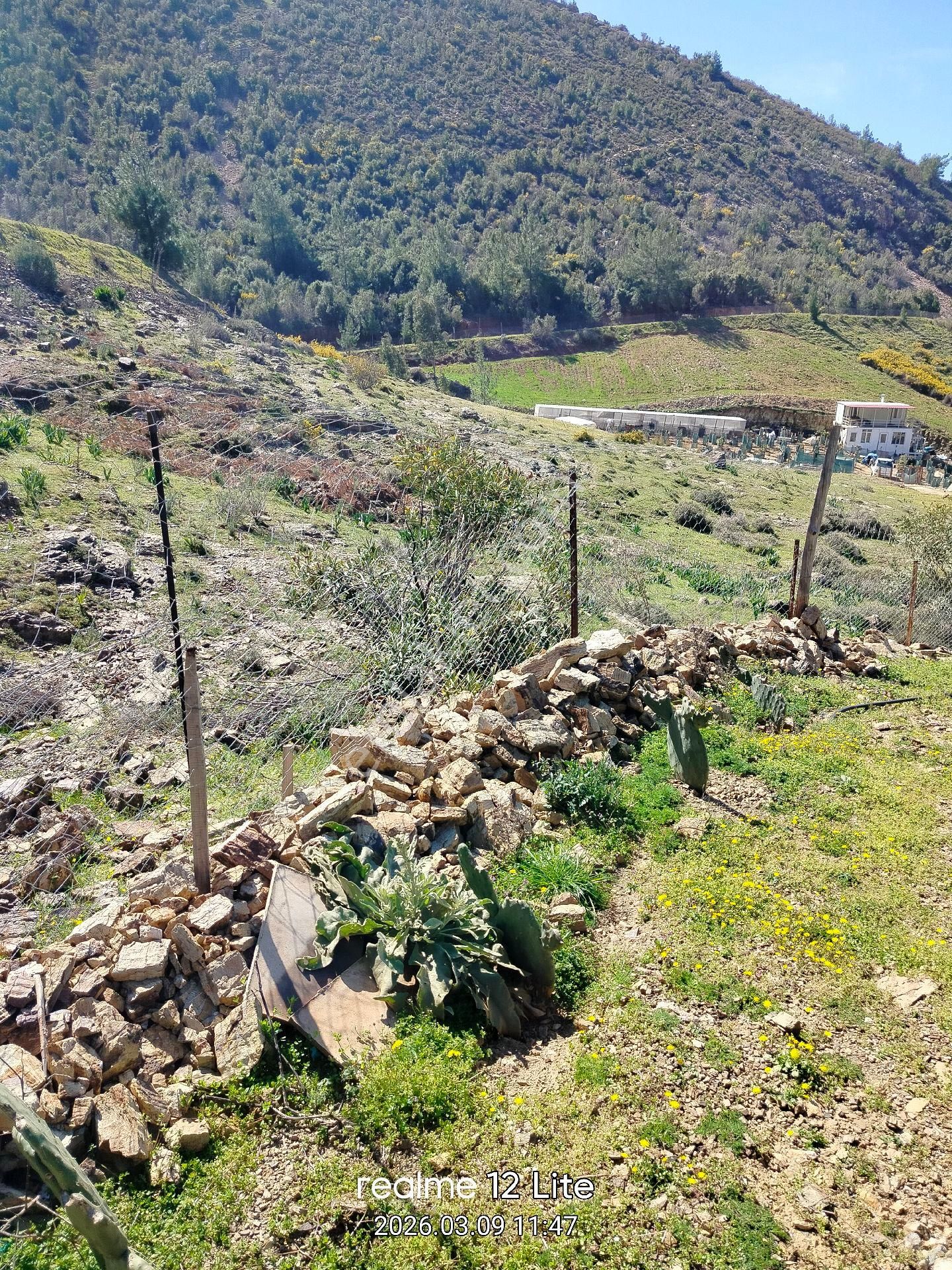 Müstakil Tapulu - Görsel 19