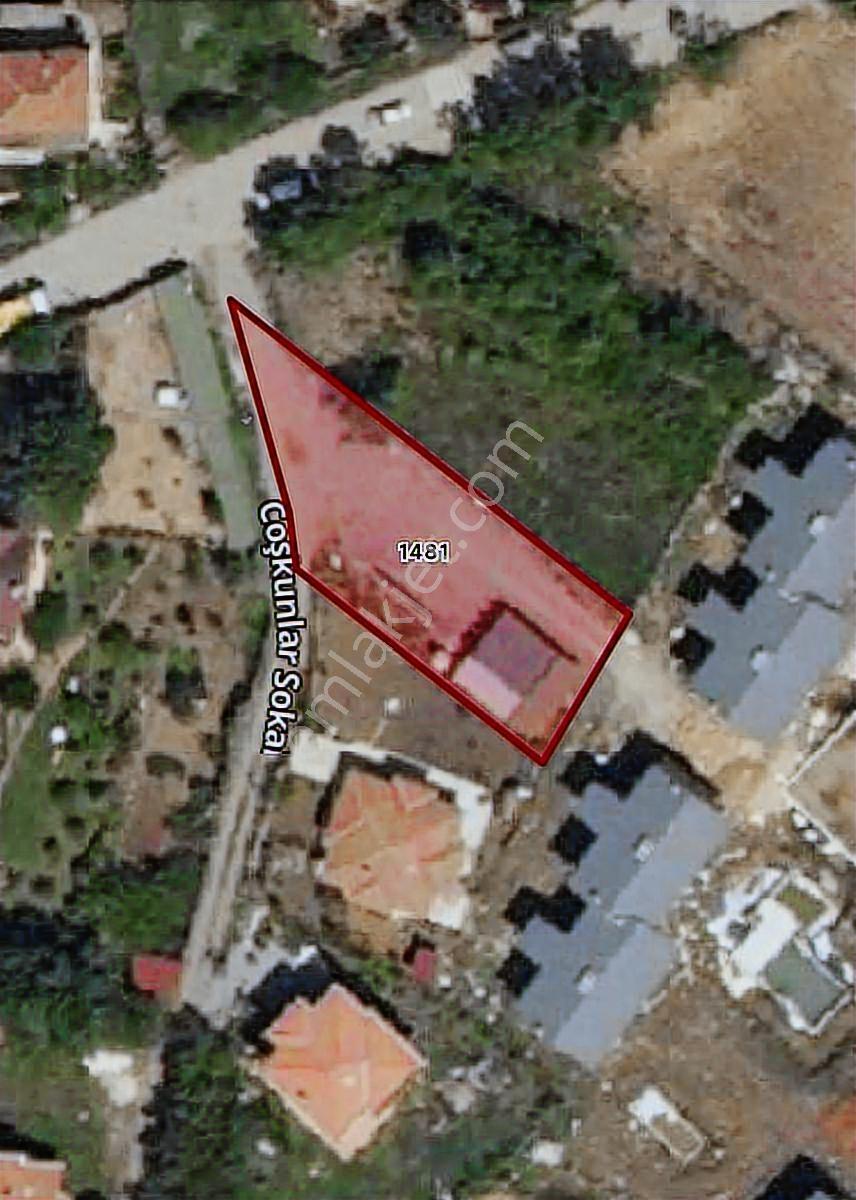 Şile'de Yola Cephe 650 M2 Satılık Arsa - Görsel 10