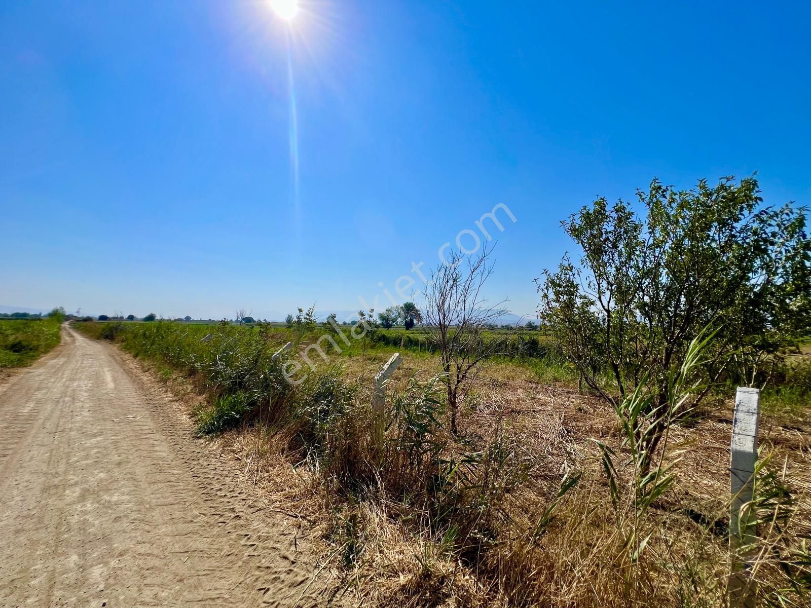 İzmir Torbalı Gold Emlaktan Kızılcaovada Satılık Tarla - Görsel 8