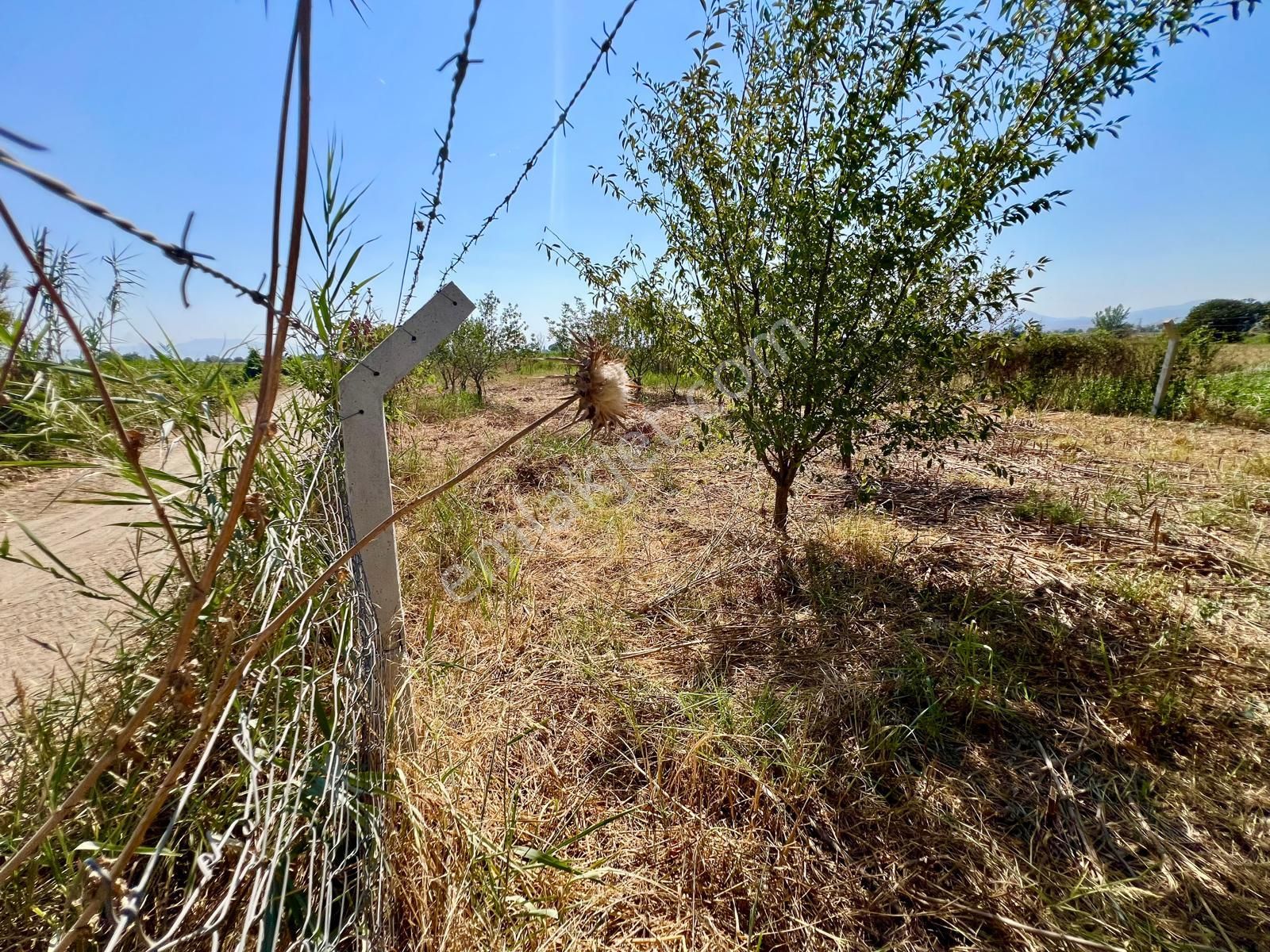 İzmir Torbalı Gold Emlaktan Kızılcaovada Satılık Tarla - Görsel 7