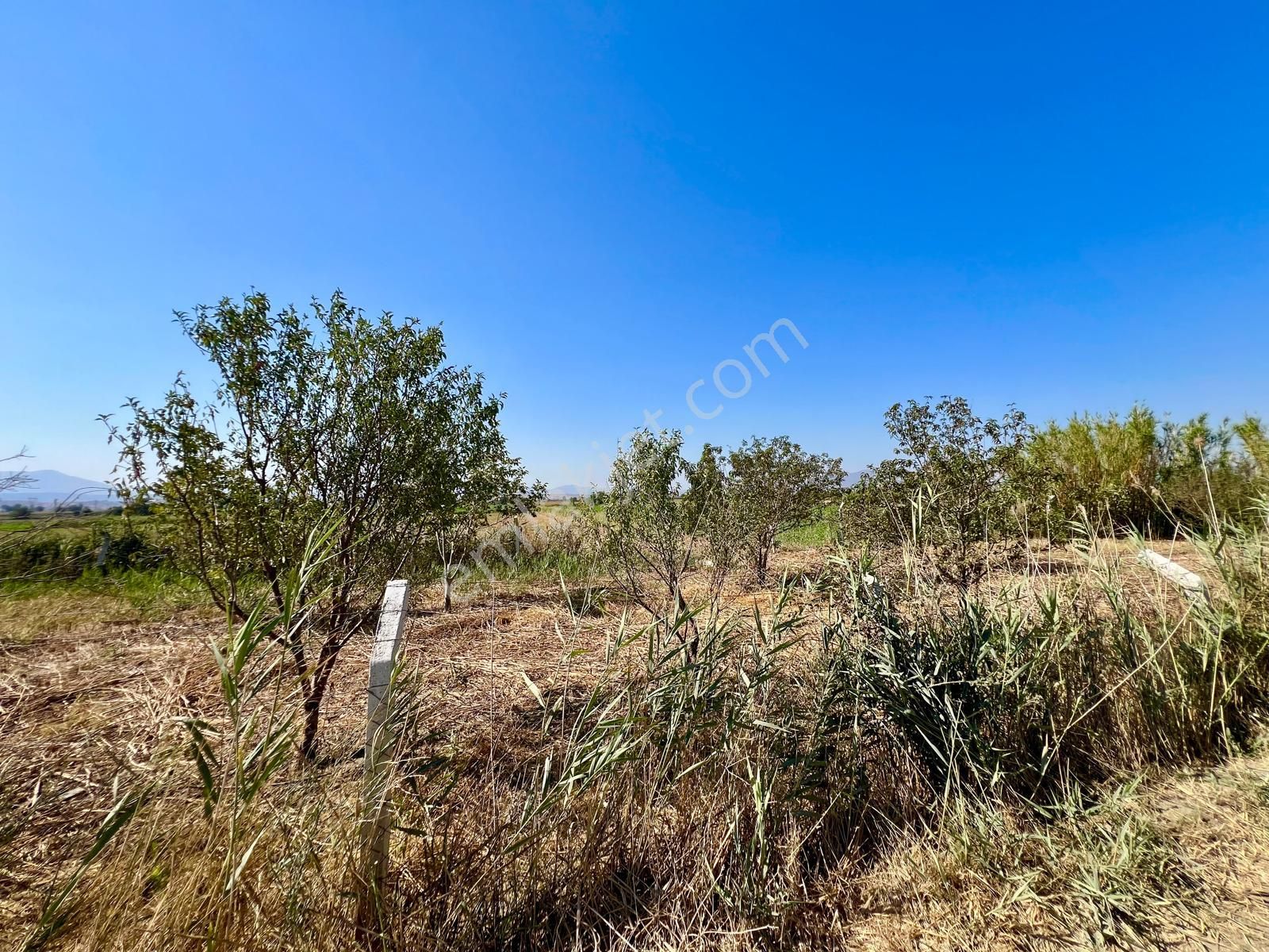 İzmir Torbalı Gold Emlaktan Kızılcaovada Satılık Tarla - Görsel 2