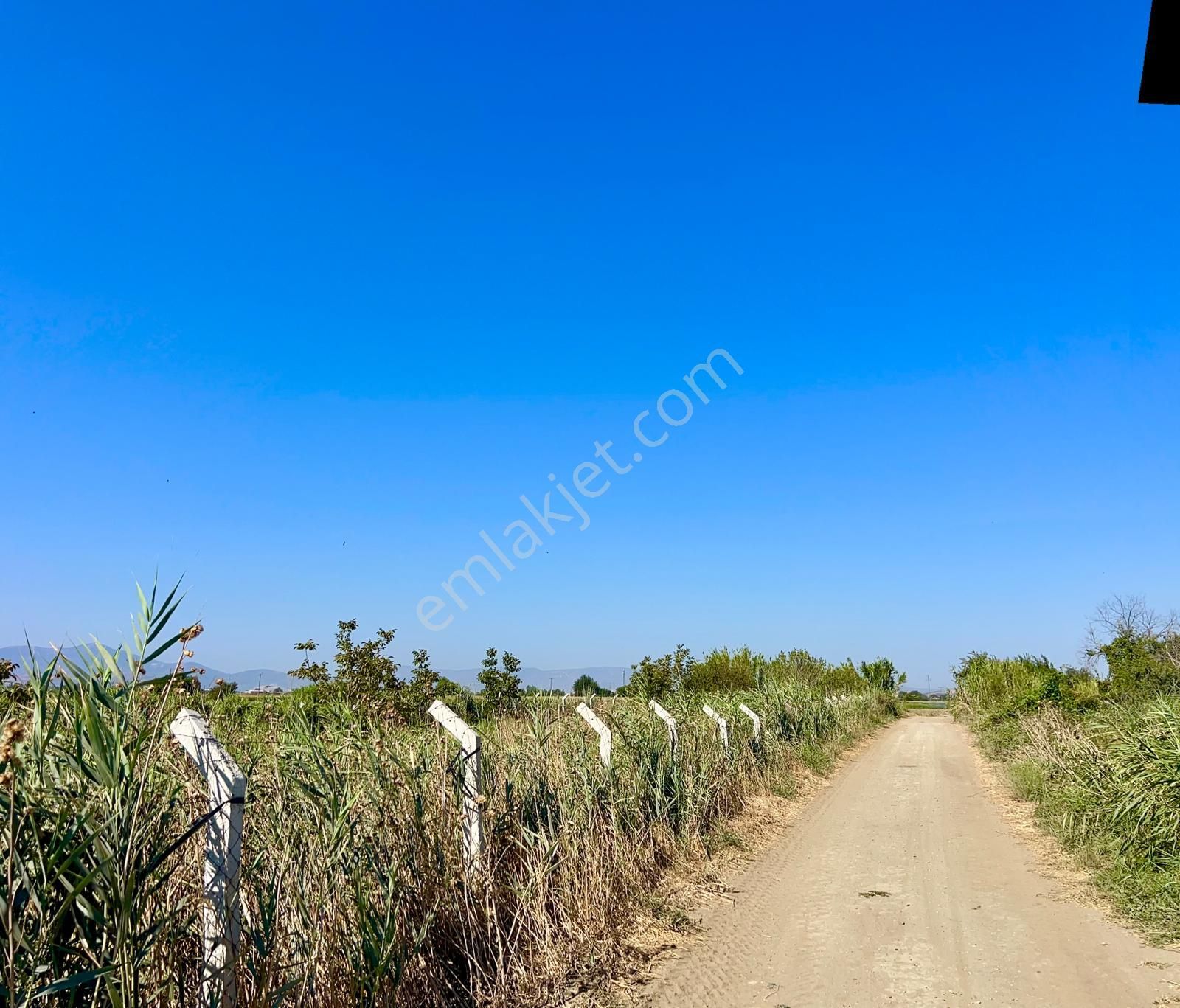 İzmir Torbalı Gold Emlaktan Kızılcaovada Satılık Tarla