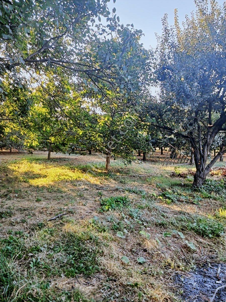 Tokat Bizim Emlaktan Yatırımlık Satılık Arsa - Görsel 4