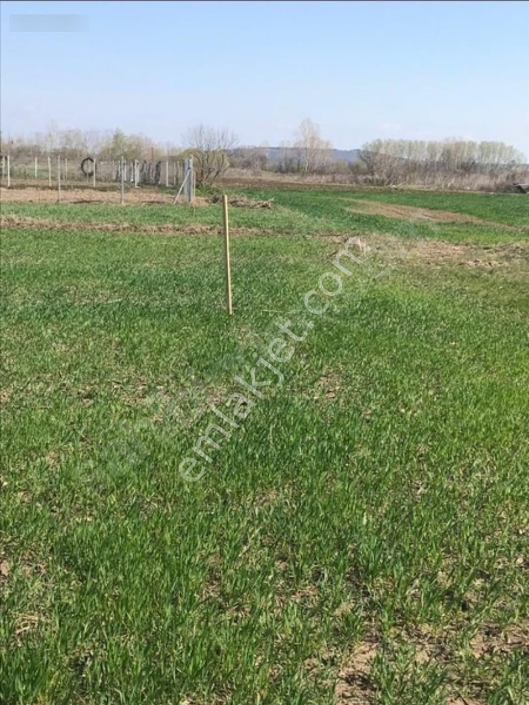 Edirne Eskikadın Güzel Konumda Satılık Bağ / Bahçe - Görsel 2