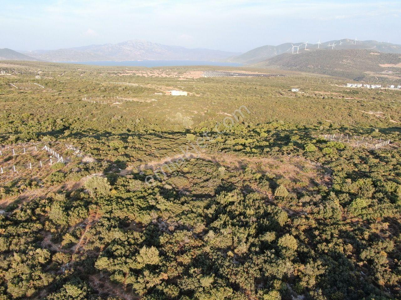 Didim Akyeniköy'de Milas Karayoluna Yakın Satılık Villa Arsası - Görsel 9