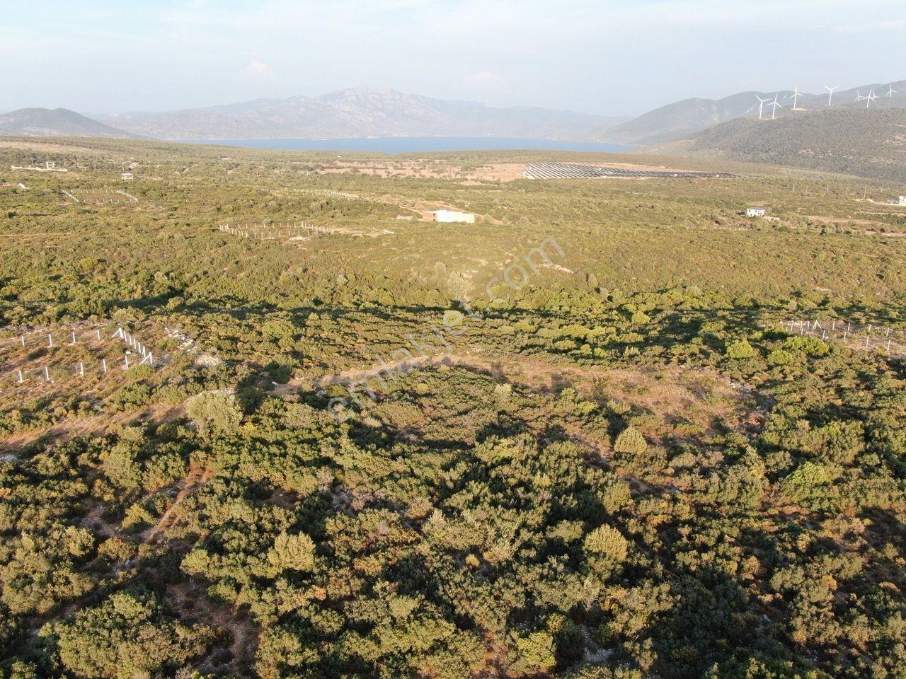 Didim Akyeniköy'de Milas Karayoluna Yakın Satılık Villa Arsası - Görsel 17