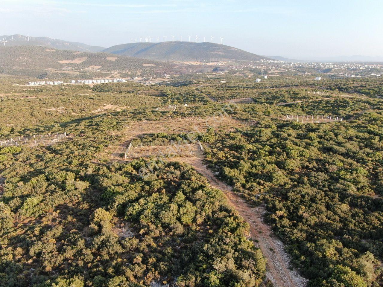 Didim Akyeniköy'de Milas Karayoluna Yakın Satılık Villa Arsası - Görsel 3