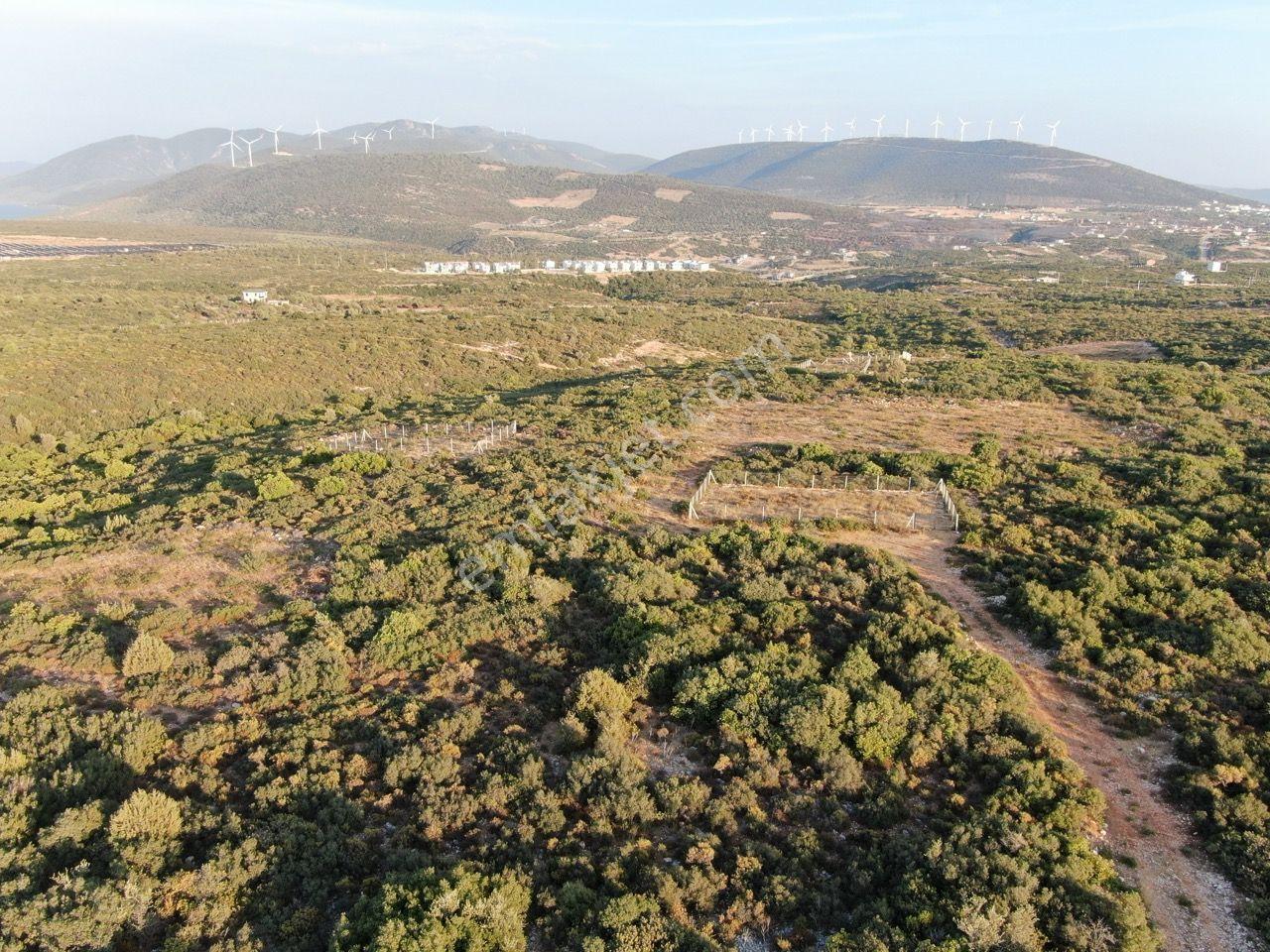 Didim Akyeniköy'de Milas Karayoluna Yakın Satılık Villa Arsası - Görsel 2