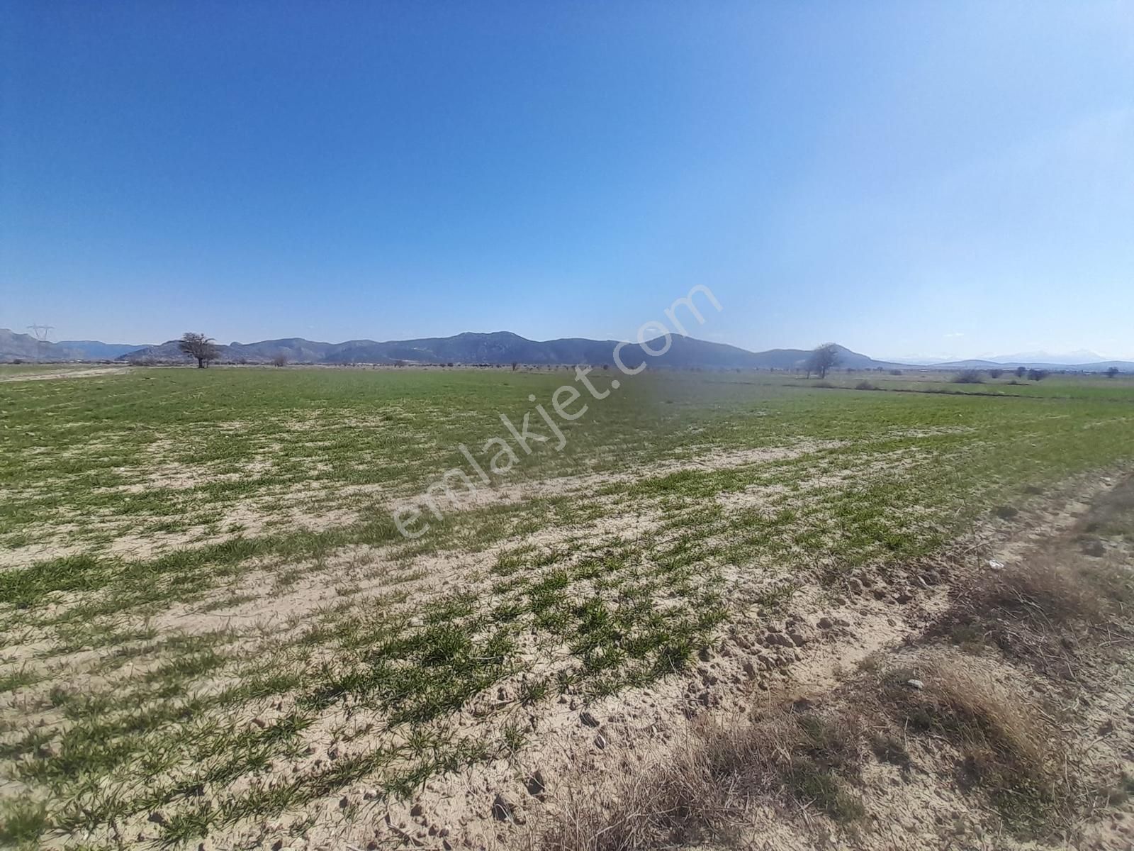 Korkuteli Çomaklı Da 5433 M2 Yola Cephe Satılık Tarla - Görsel 12