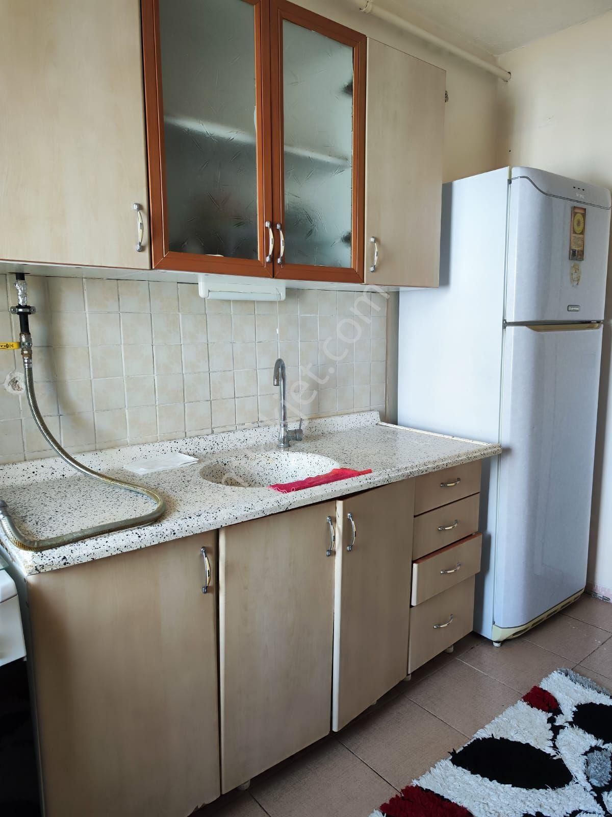 Üçkuyular Tokilerde Kiralik Full Eşyalı 2+1 Daire - Görsel 9