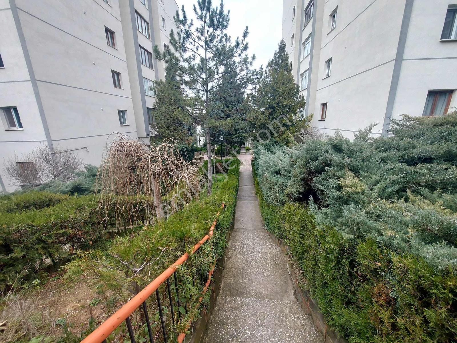 Eryaman Metro Yakını Katta Eşyalı 1+1 Kiralık Daire - Görsel 19