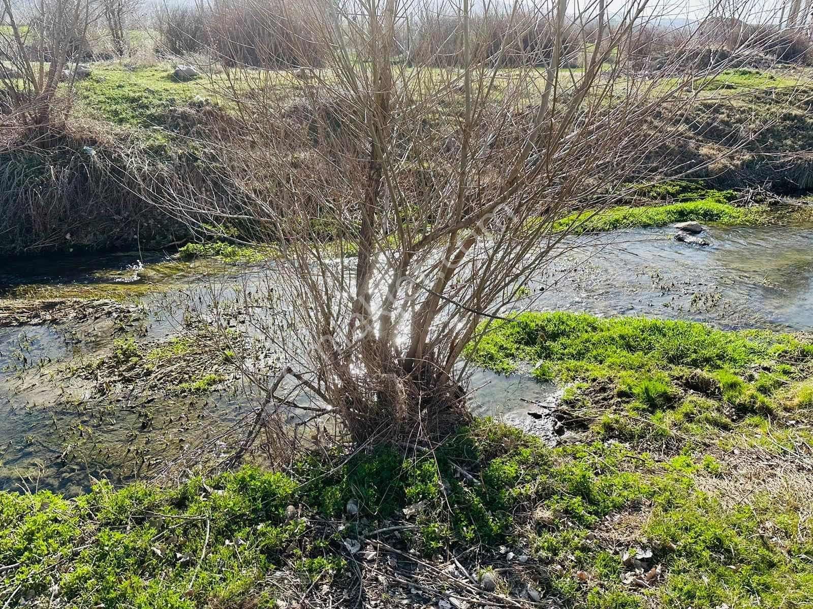 Meram Sefaköy Mahallesinde Elektriği Suyu Mevcut Tek Tapu Bahçe! - Görsel 8