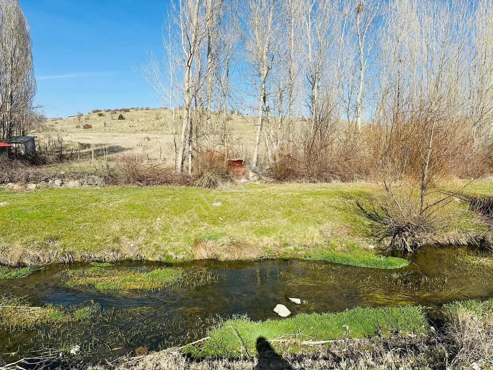 Meram Sefaköy Mahallesinde Elektriği Suyu Mevcut Tek Tapu Bahçe! - Görsel 4