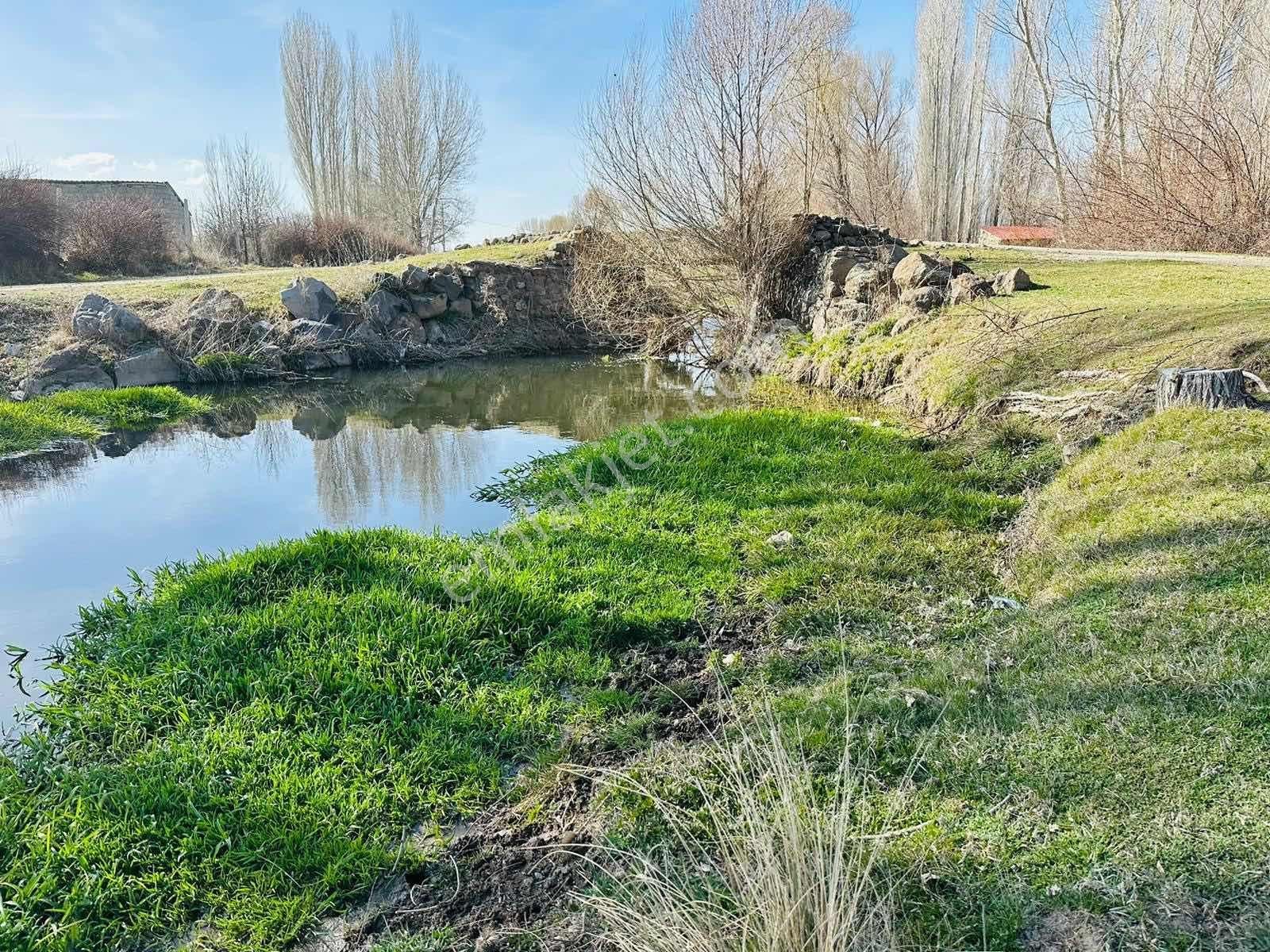 Meram Sefaköy Mahallesinde Elektriği Suyu Mevcut Tek Tapu Bahçe! - Görsel 15