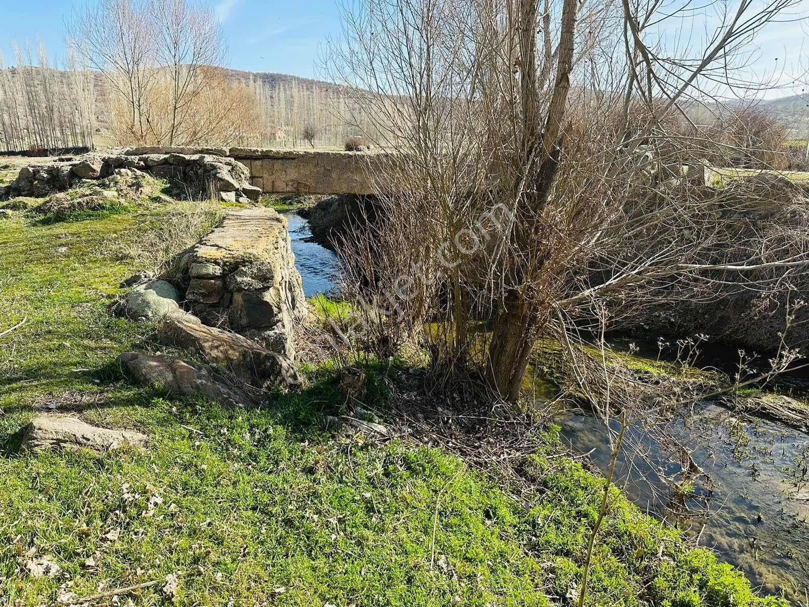 Meram Sefaköy Mahallesinde Elektriği Suyu Mevcut Tek Tapu Bahçe! - Görsel 21