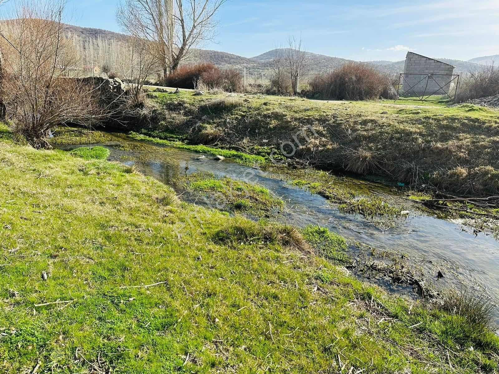 Meram Sefaköy Mahallesinde Elektriği Suyu Mevcut Tek Tapu Bahçe! - Görsel 2