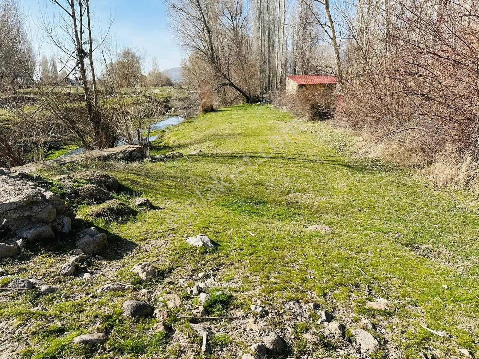 Meram Sefaköy Mahallesinde Elektriği Suyu Mevcut Tek Tapu Bahçe! - Görsel 13